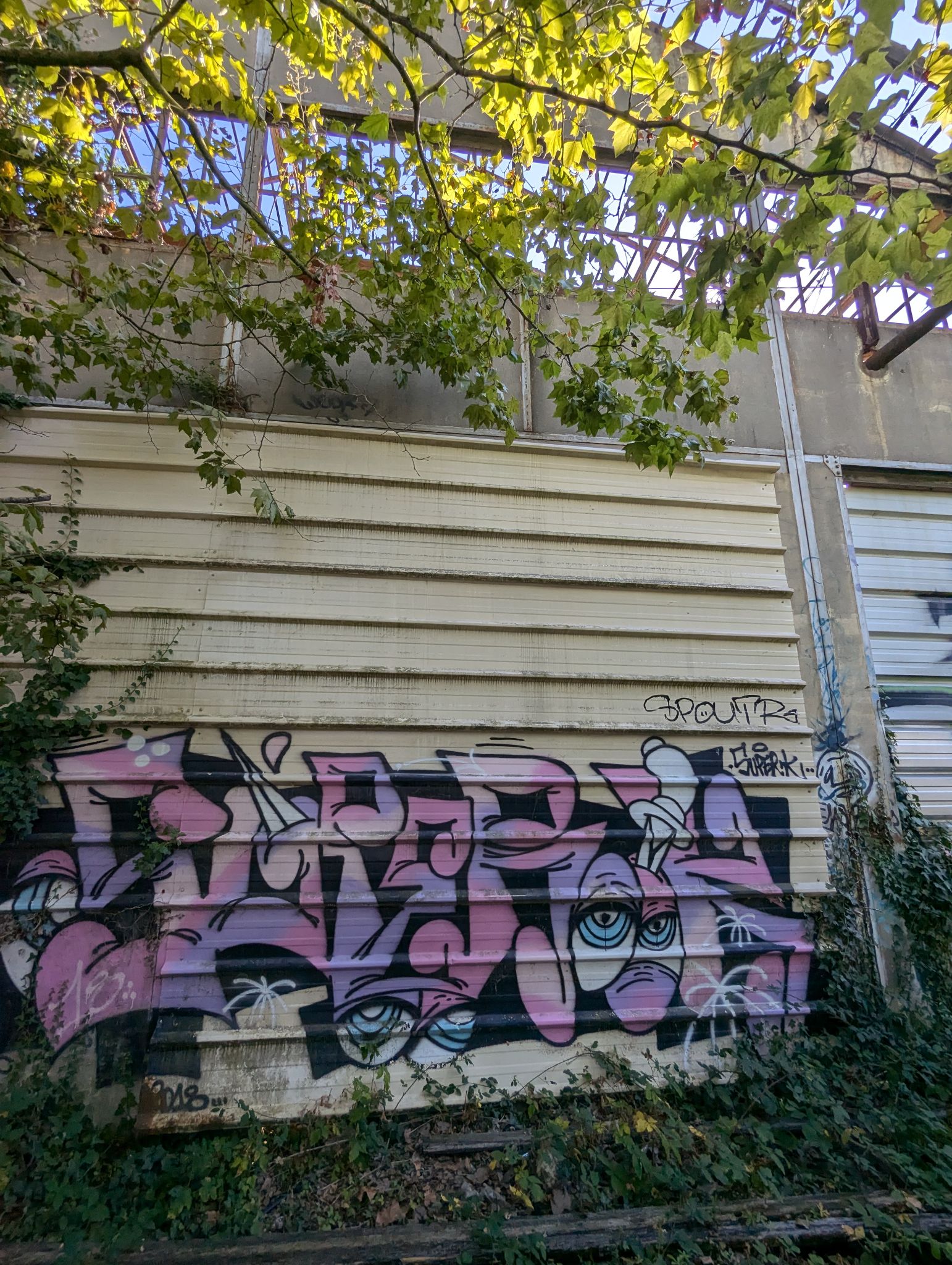 PXL 20240815 154542890