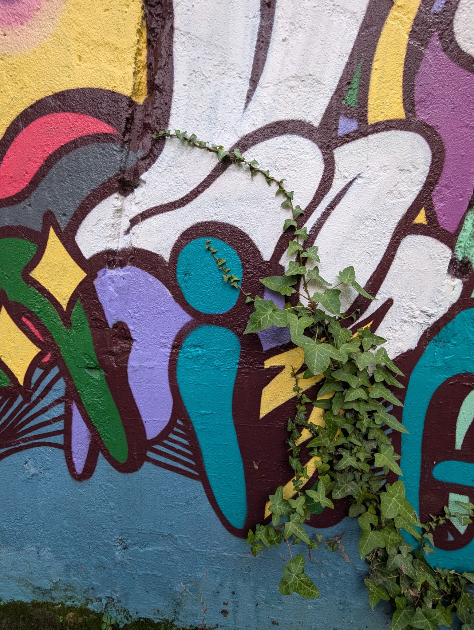 PXL 20251216 135159525