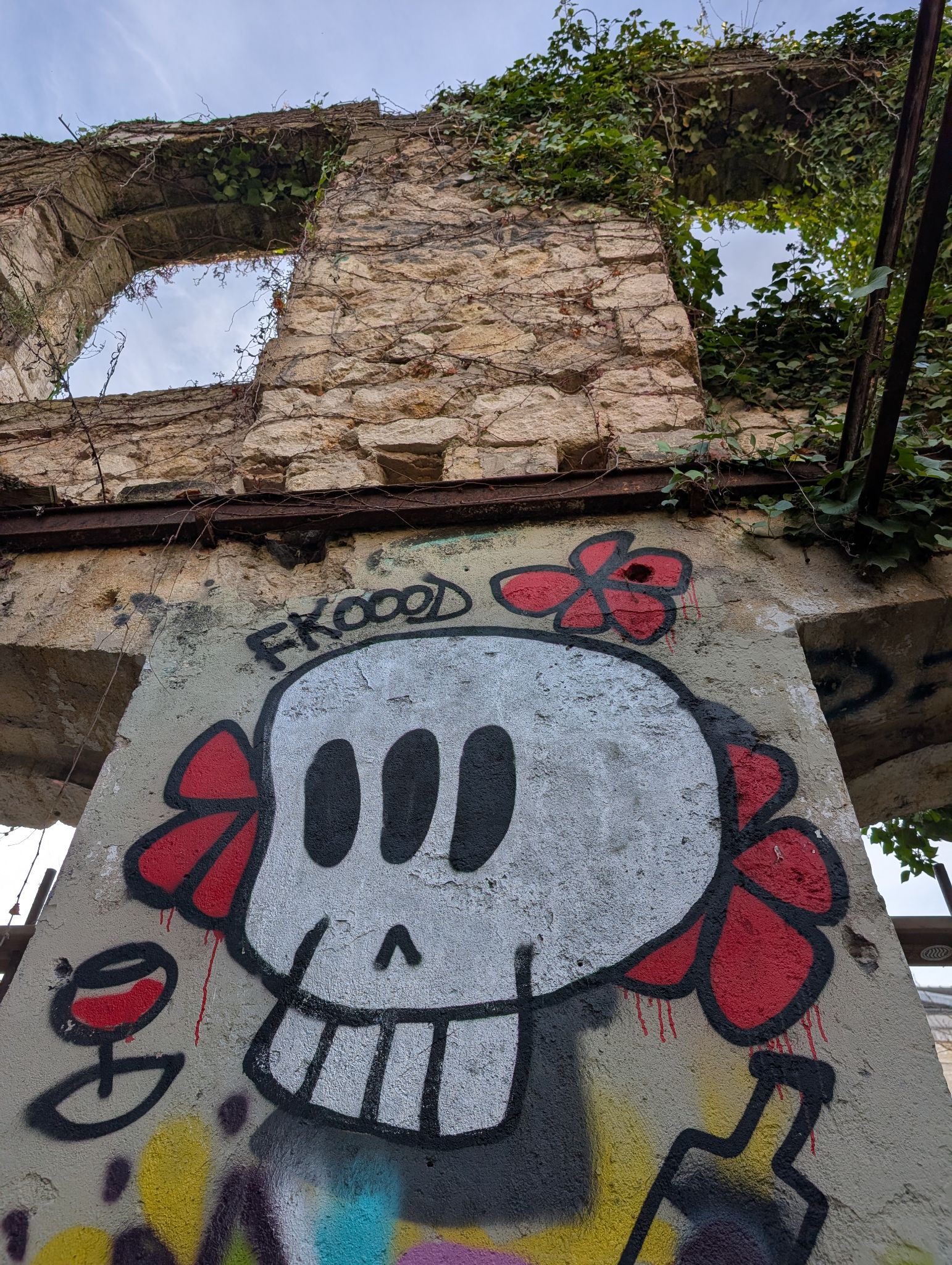 PXL 20251216 135224521