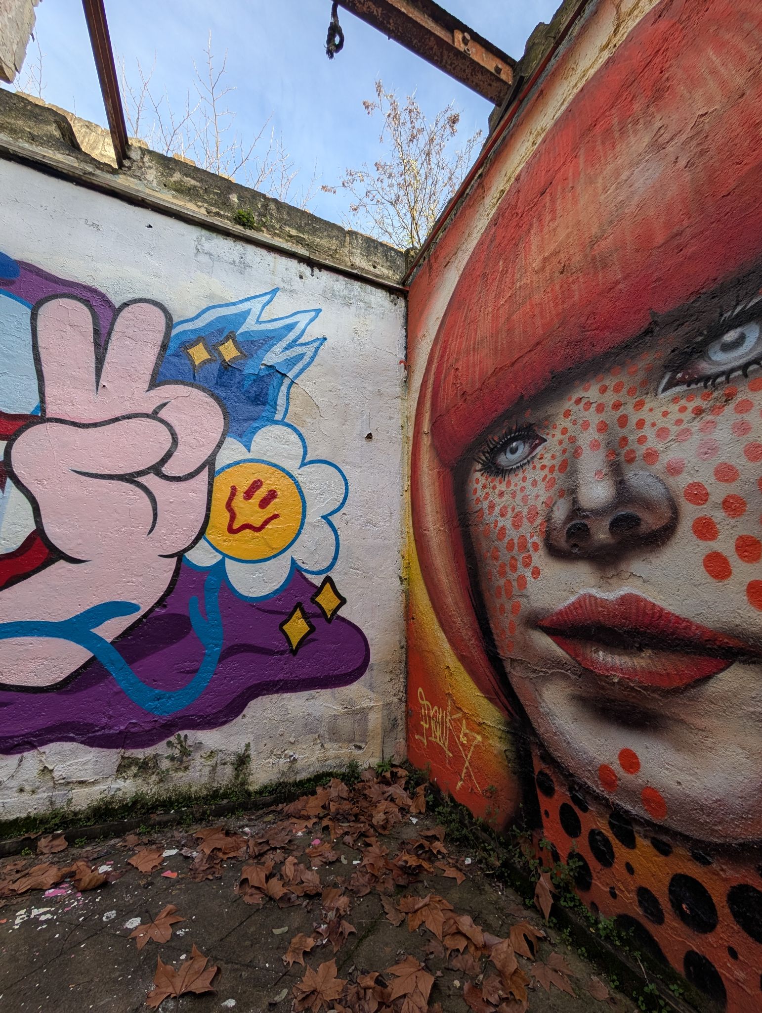 PXL 20251216 135254315