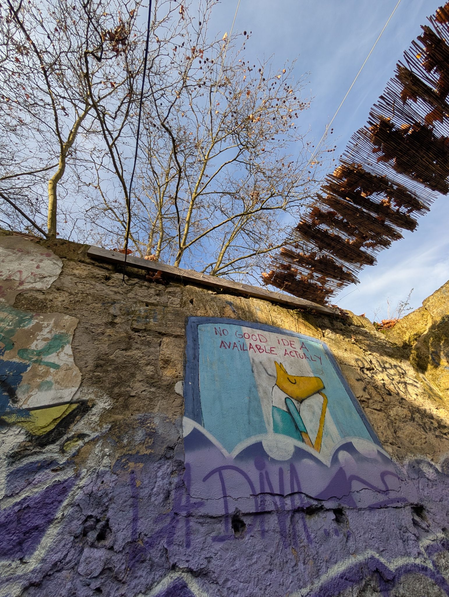 PXL 20251216 135440037