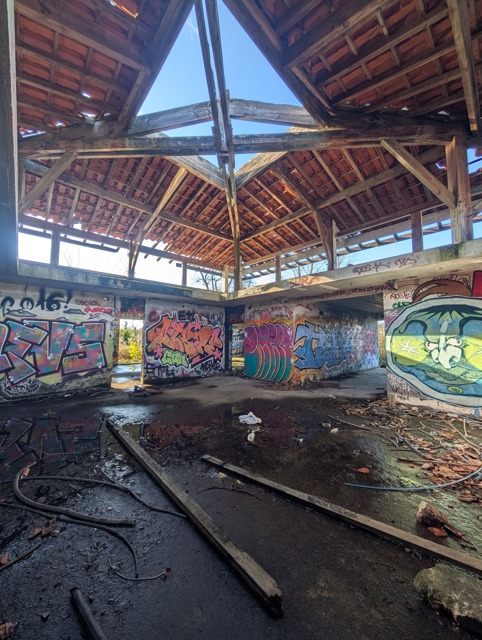 PXL 20250112 135657960