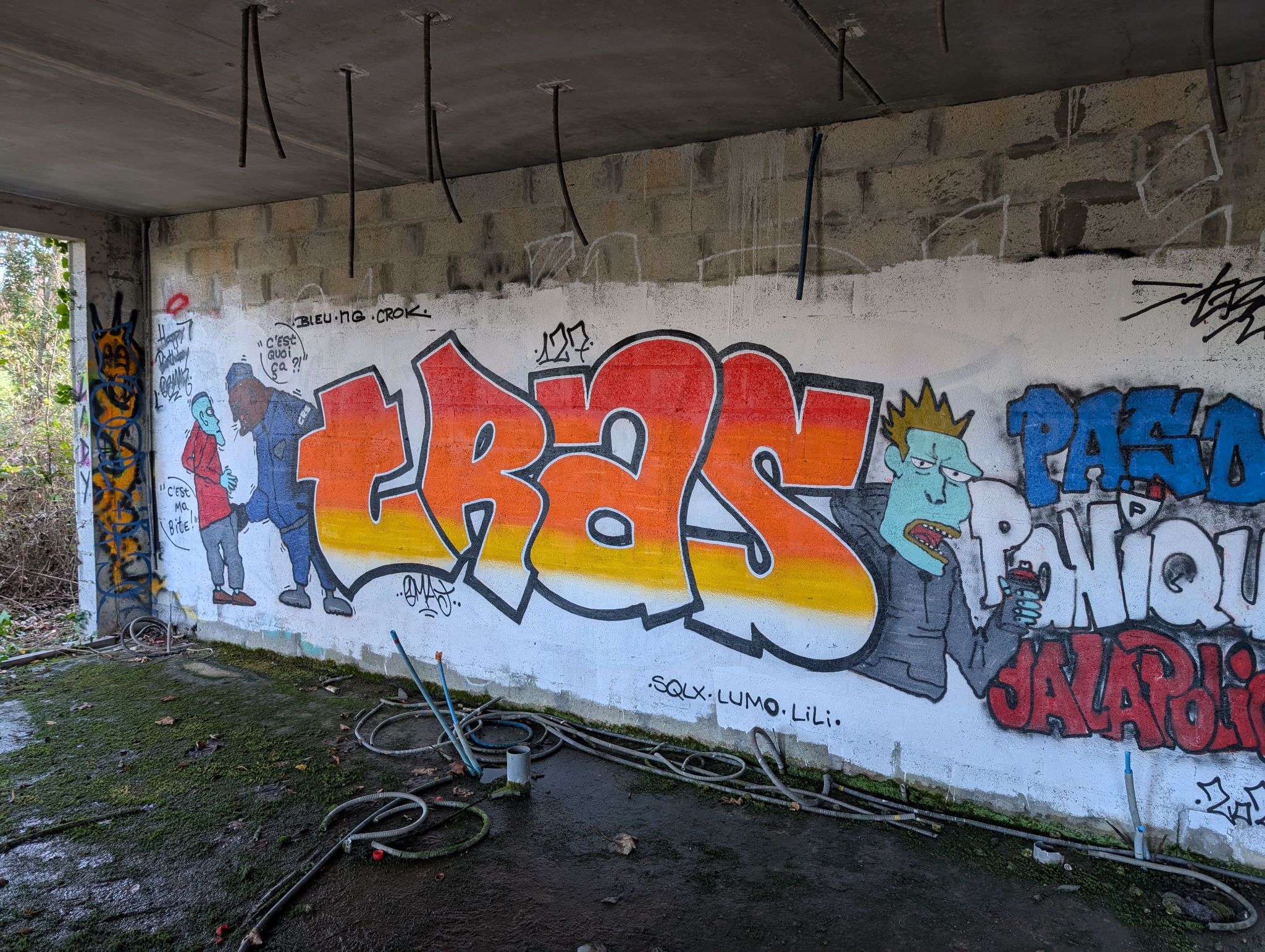 PXL 20250112 140854026