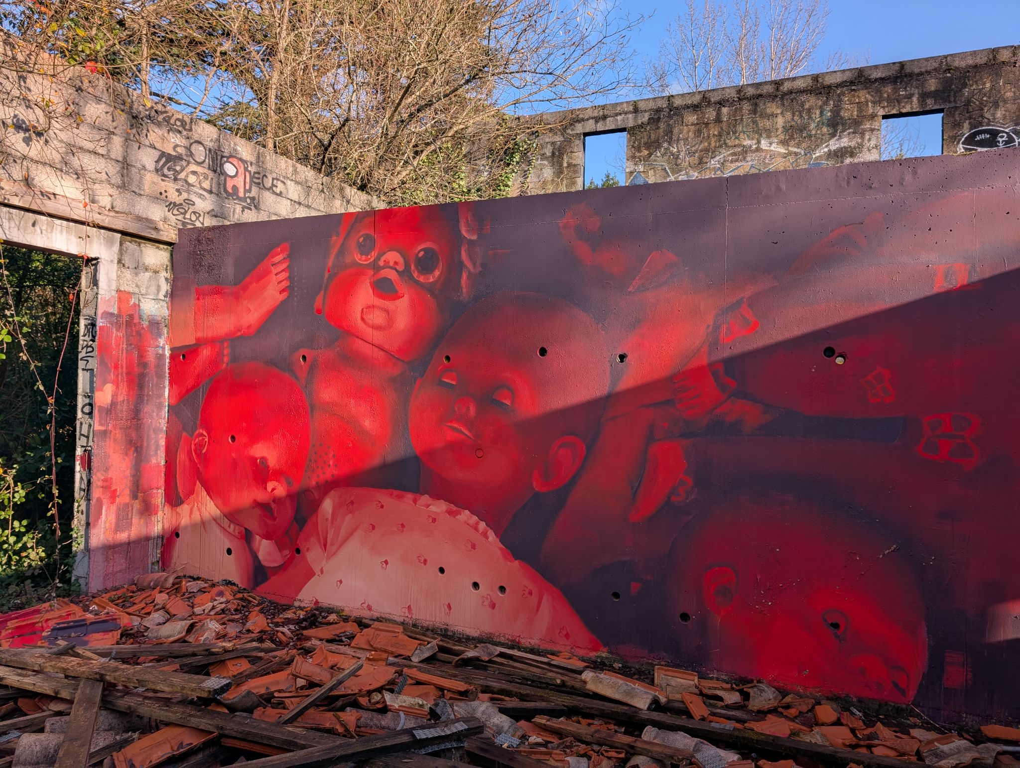 PXL 20250112 141725906