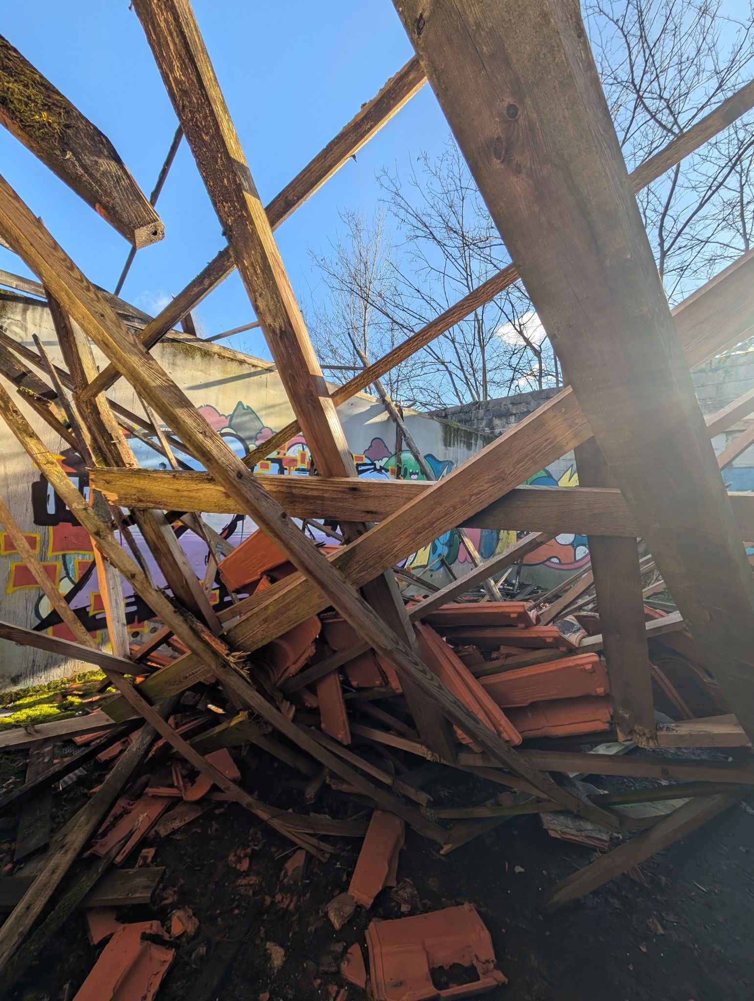 PXL 20250112 141958123