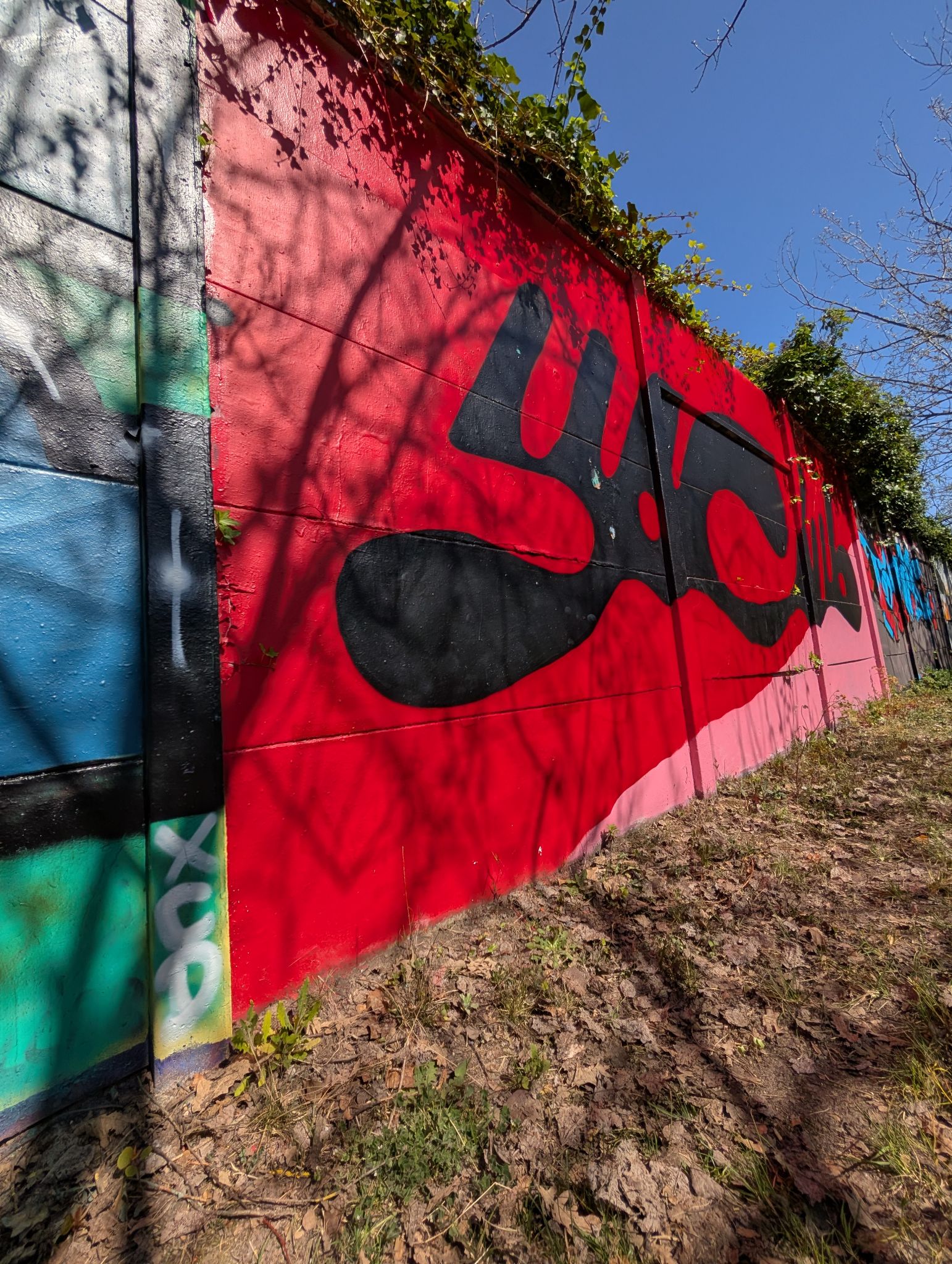 PXL 20250410 135604596