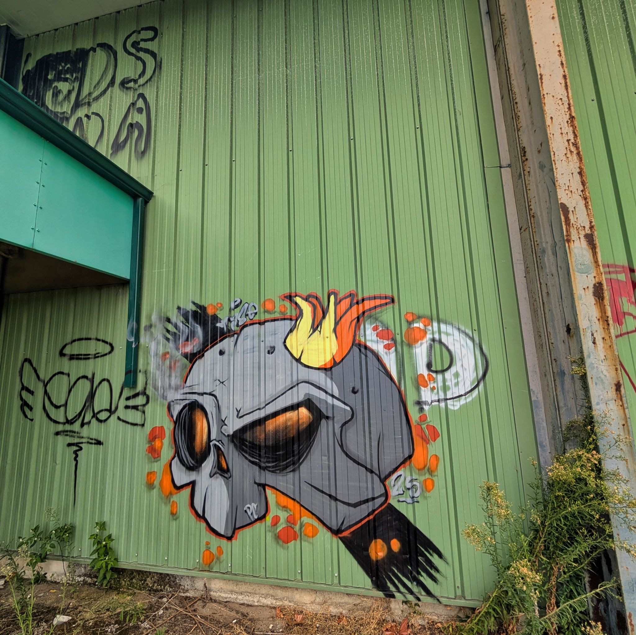 PXL 20250907 094910536