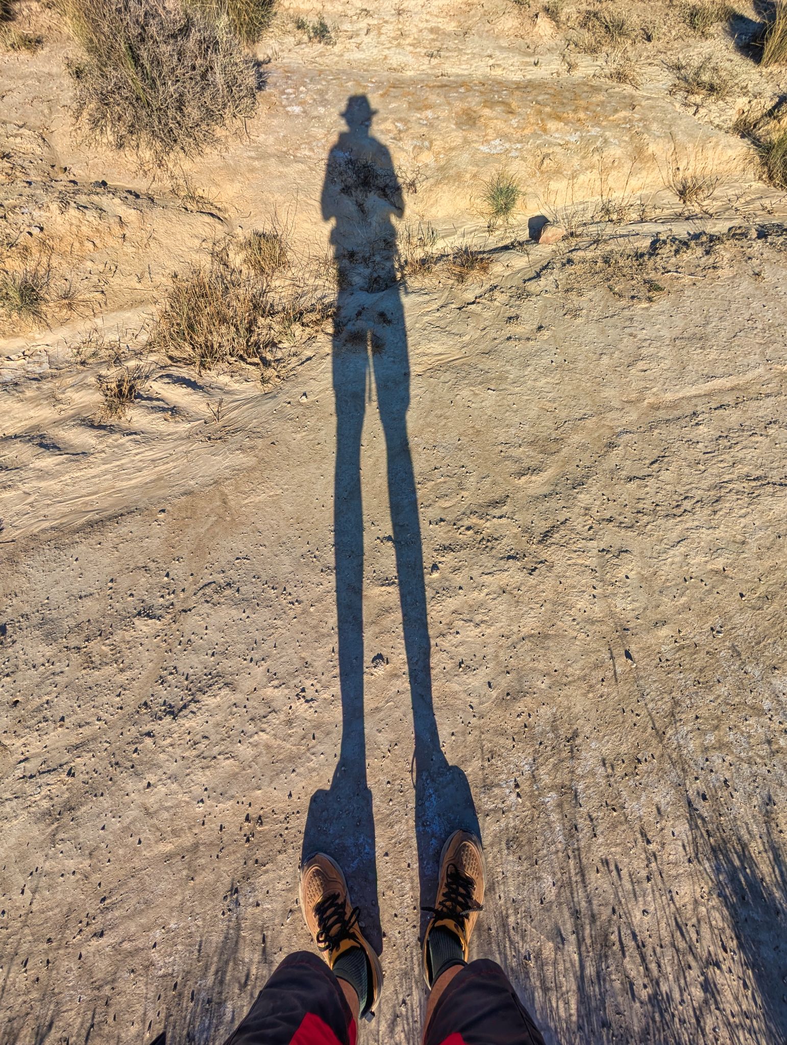 PXL 20250903 164511290