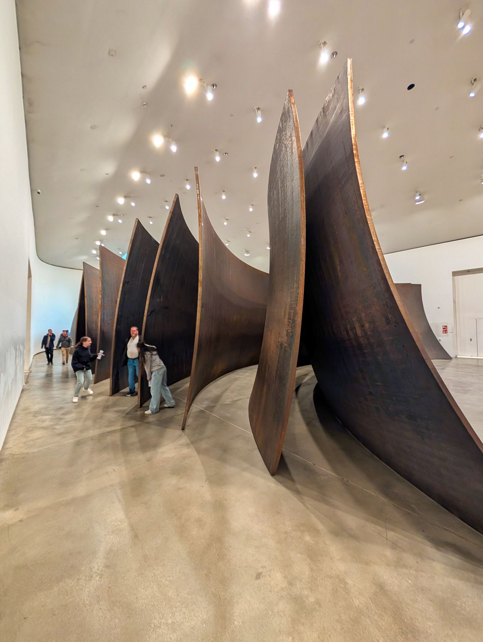 PXL 20250509 082317908