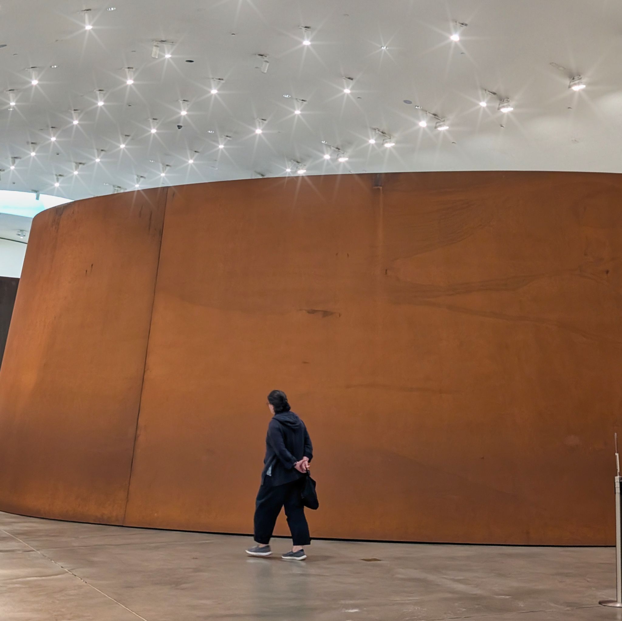 PXL 20250509 101449324