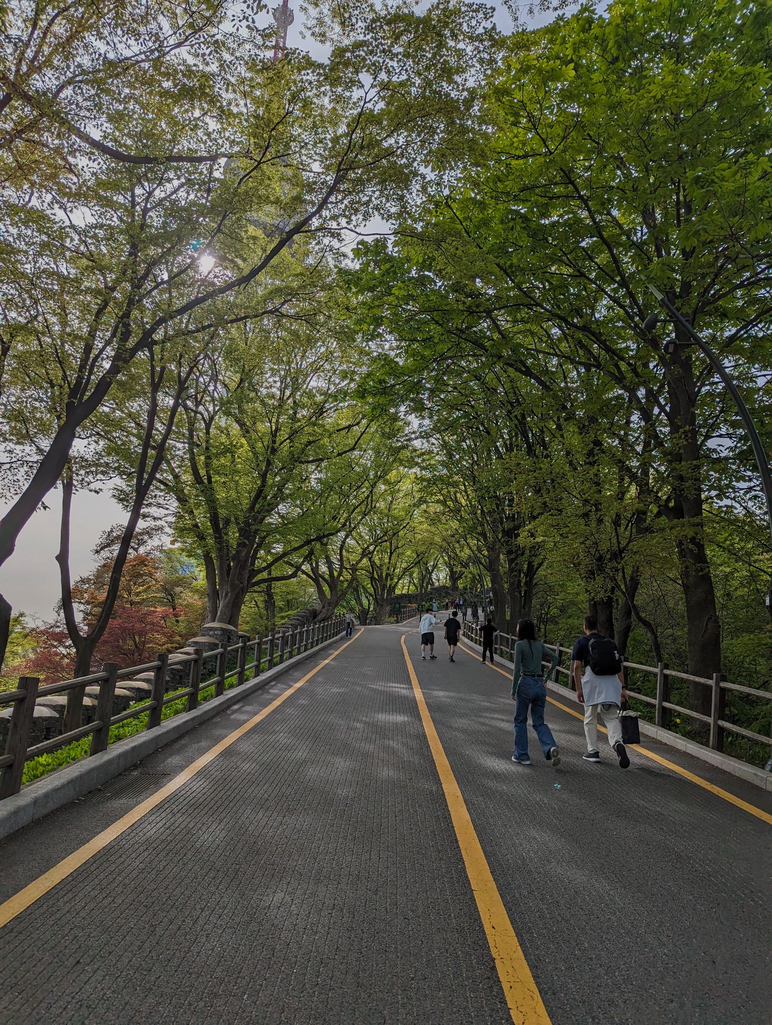 PXL 20240417 071404751