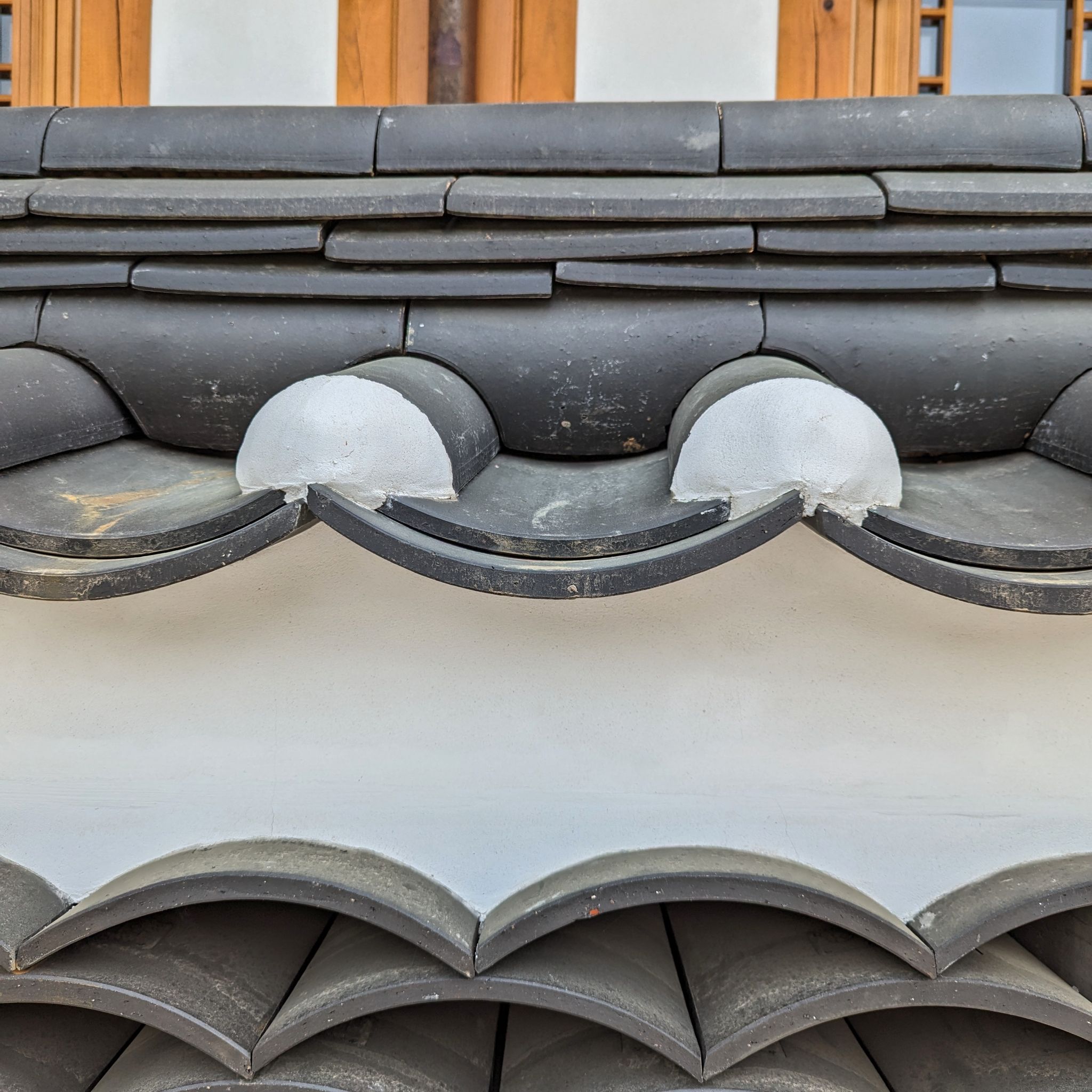 PXL 20240419 033611154