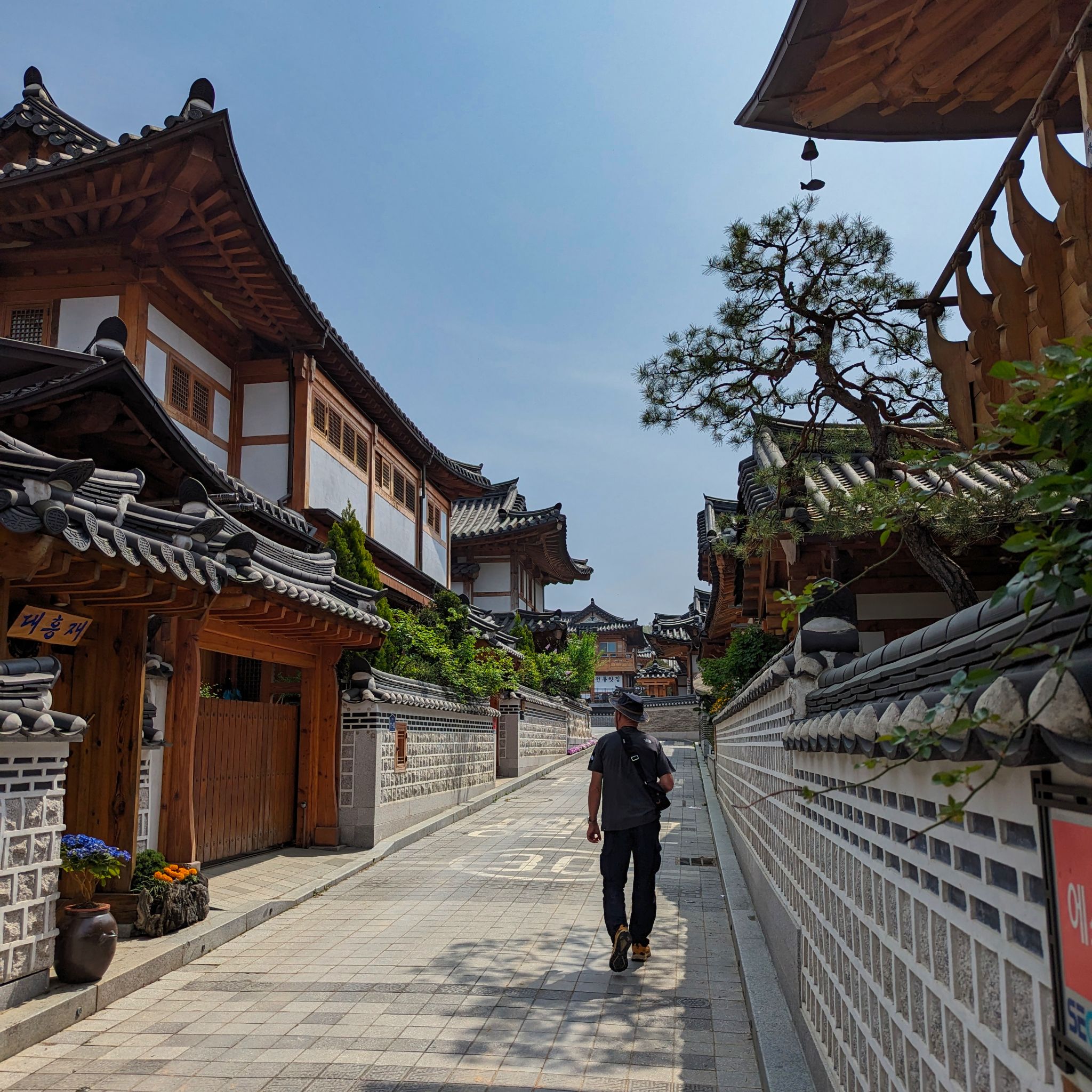 PXL 20240419 050343023