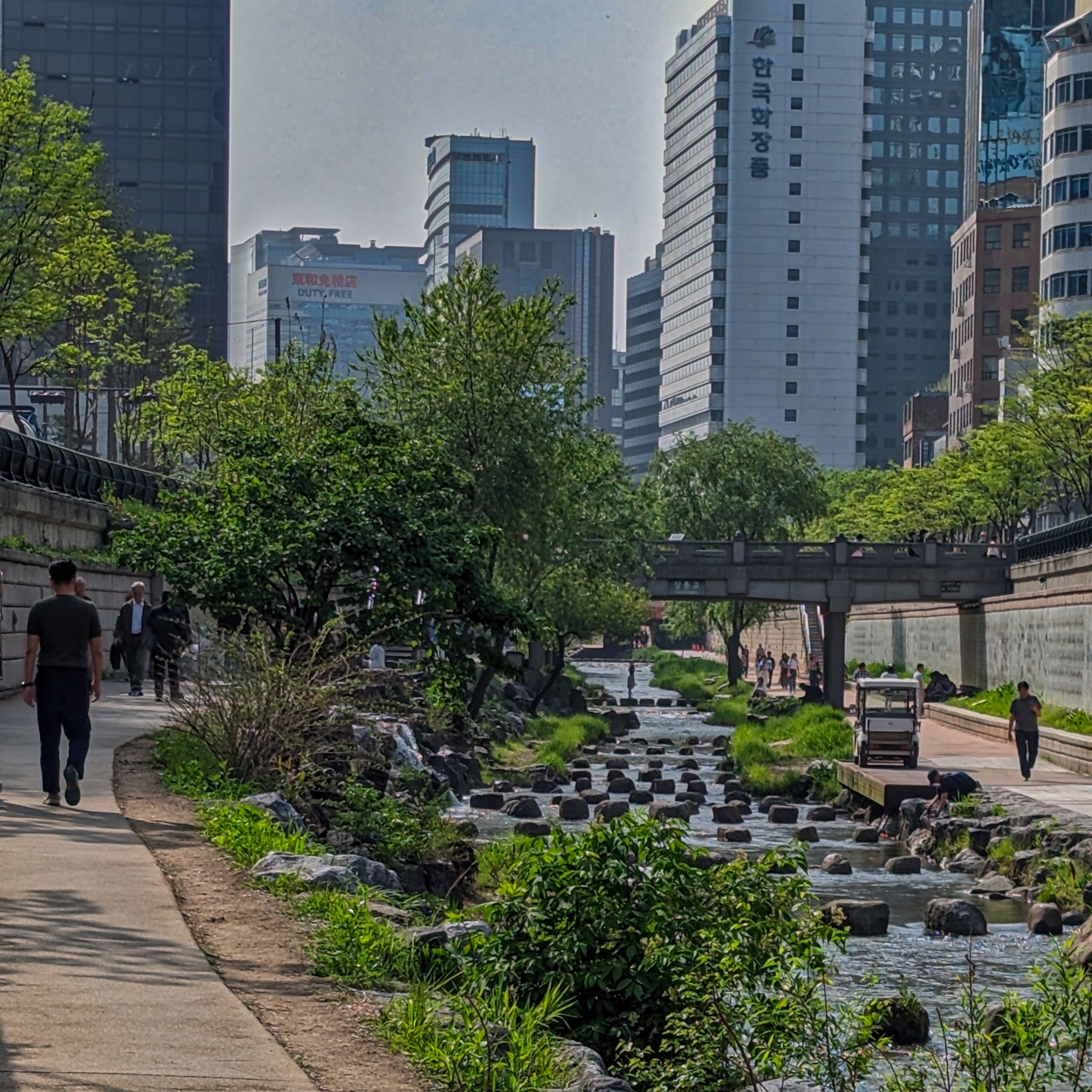 PXL 20240419 063103715