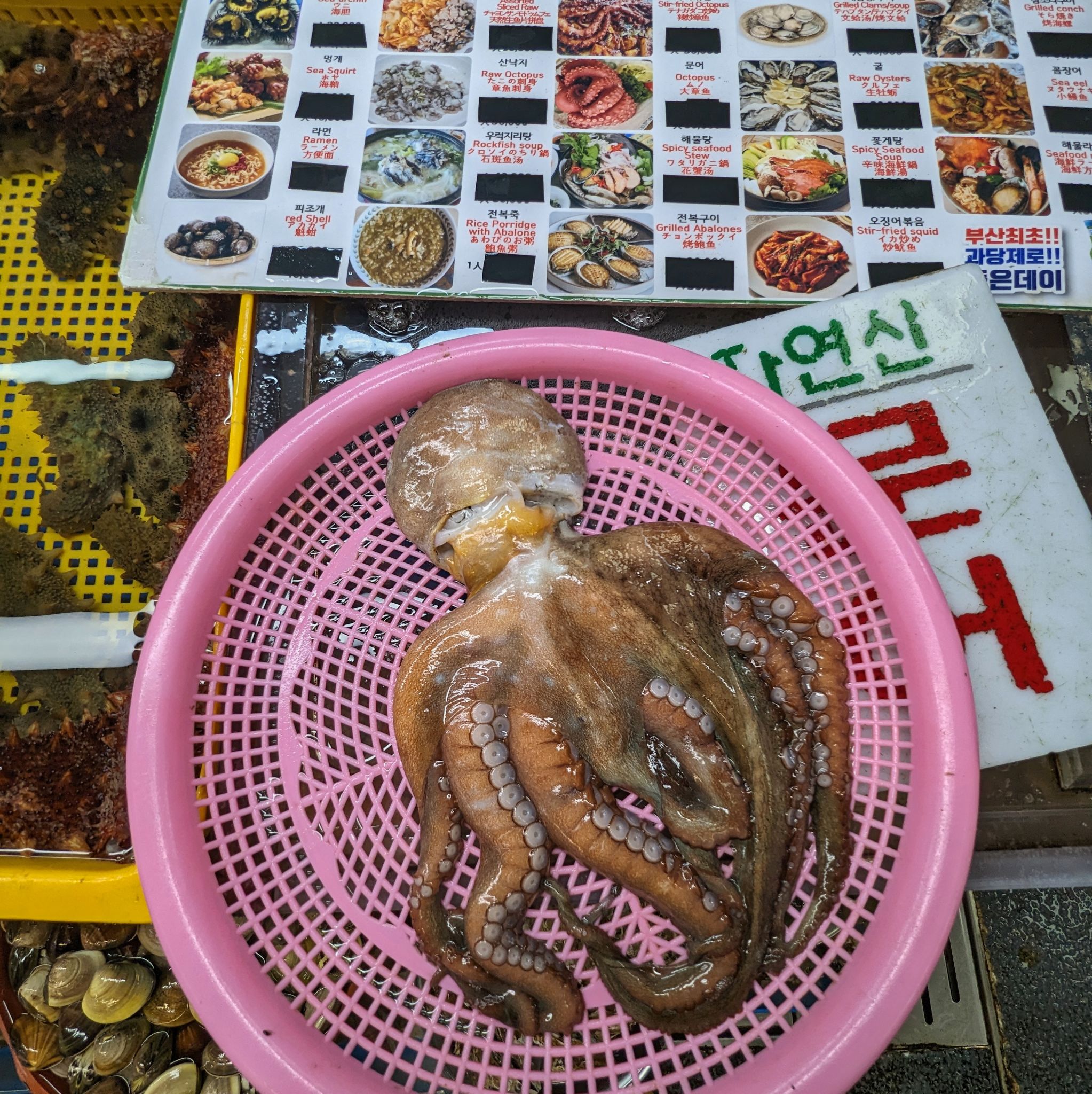 PXL 20240422 025058977