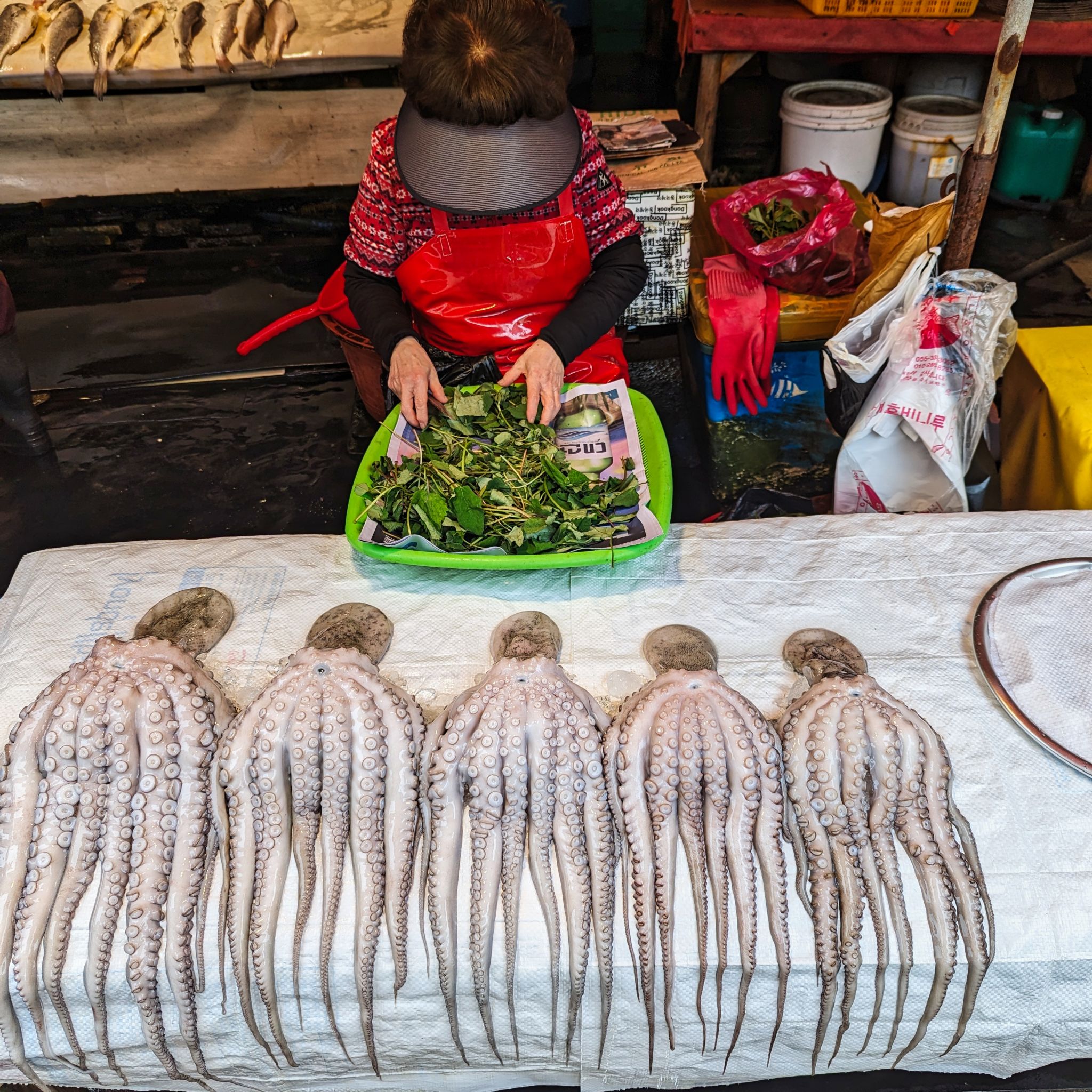 PXL 20240422 031519115.MP