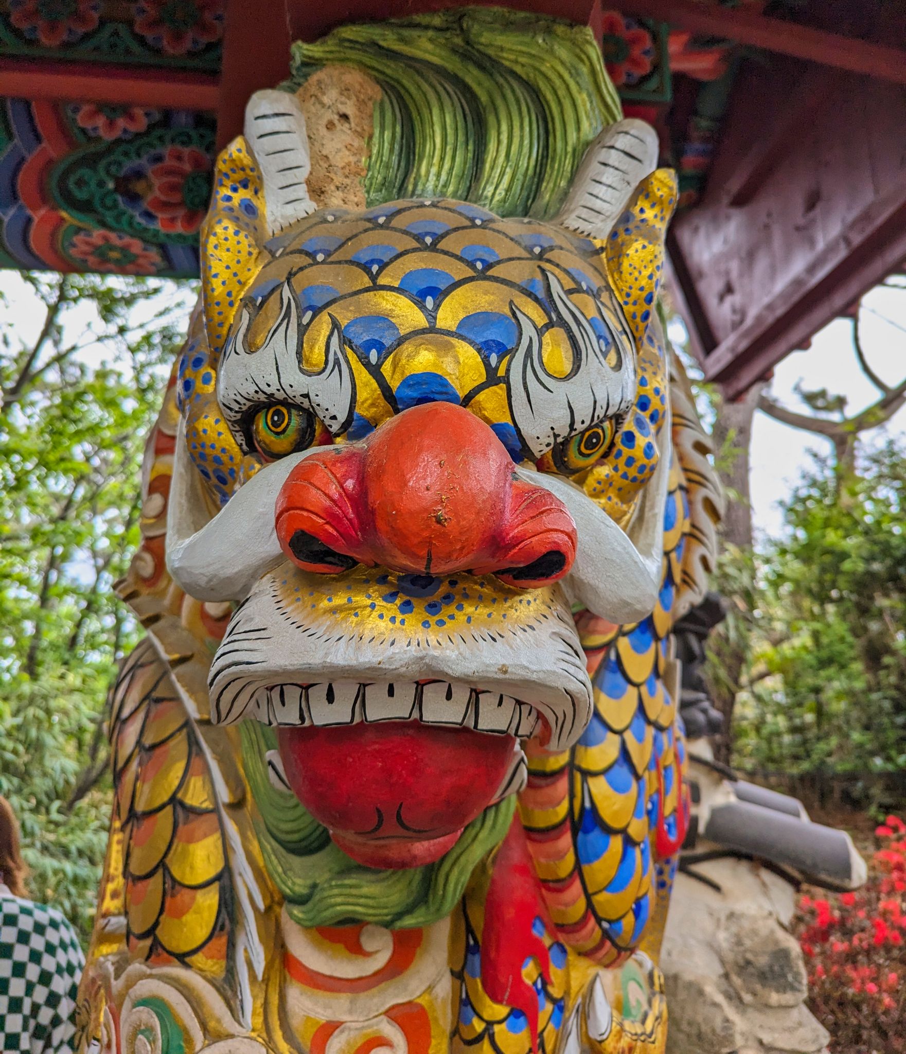 PXL 20240422 055742439