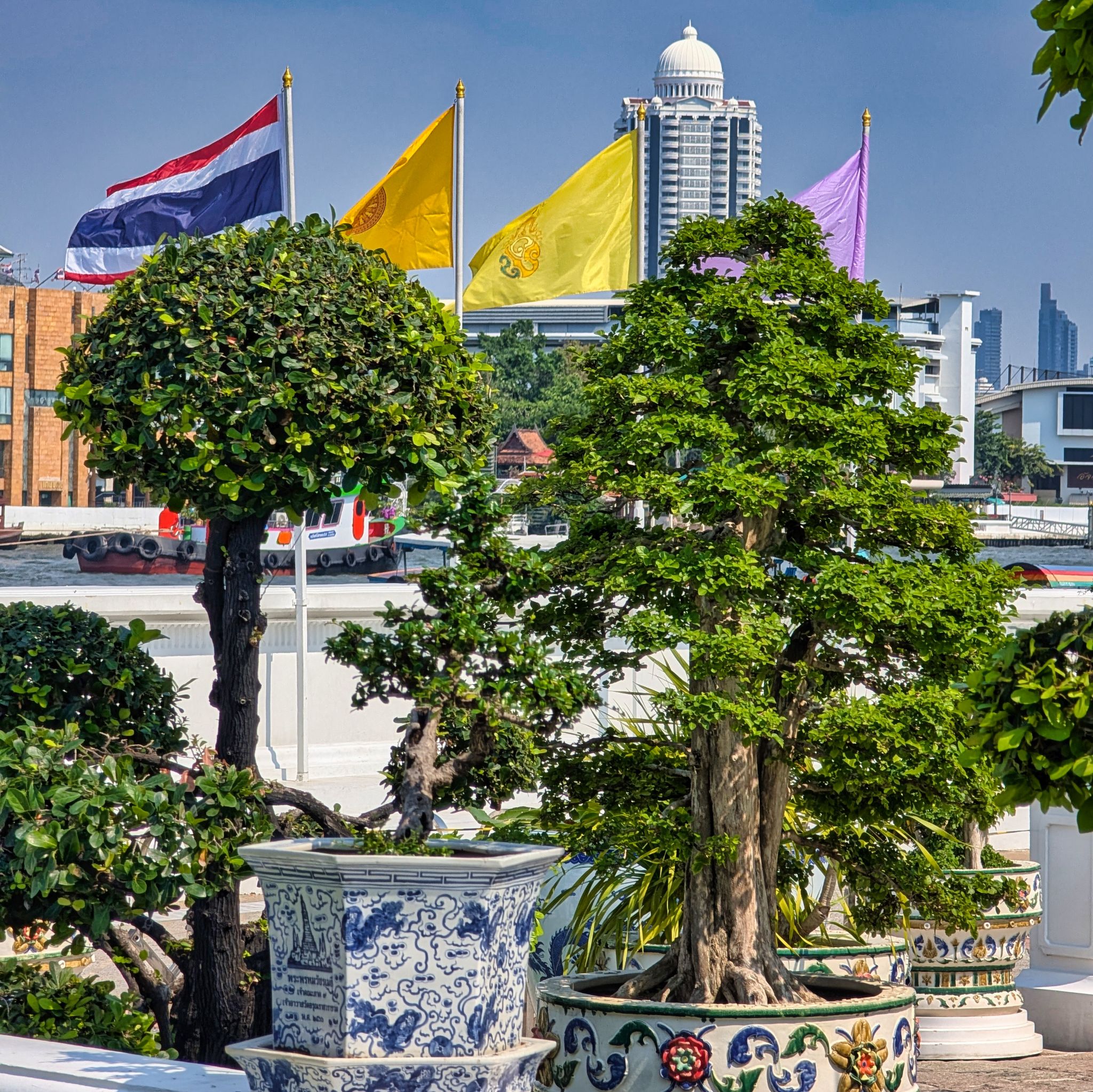 PXL 20250228 073954588