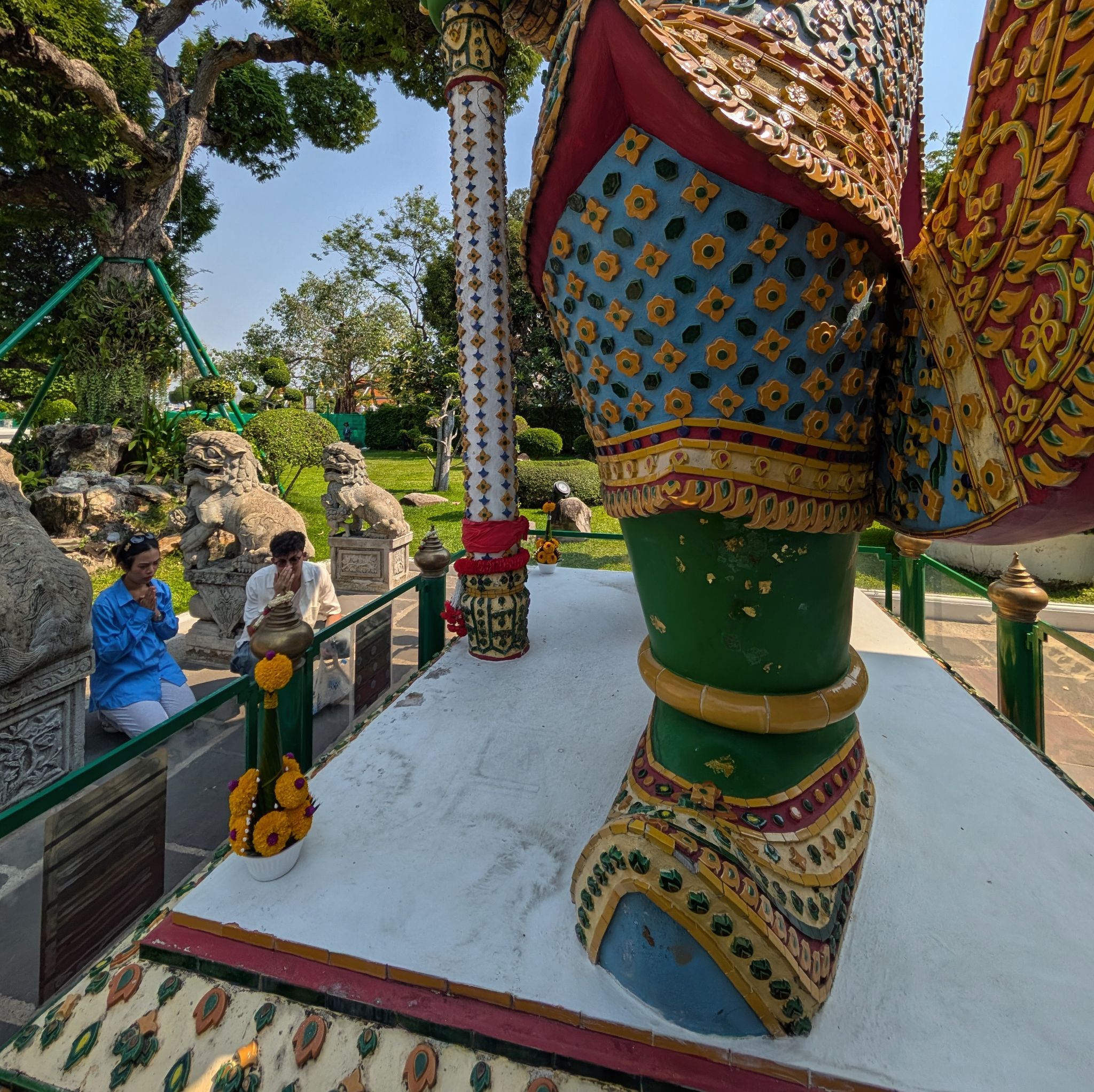 PXL 20250228 074129419