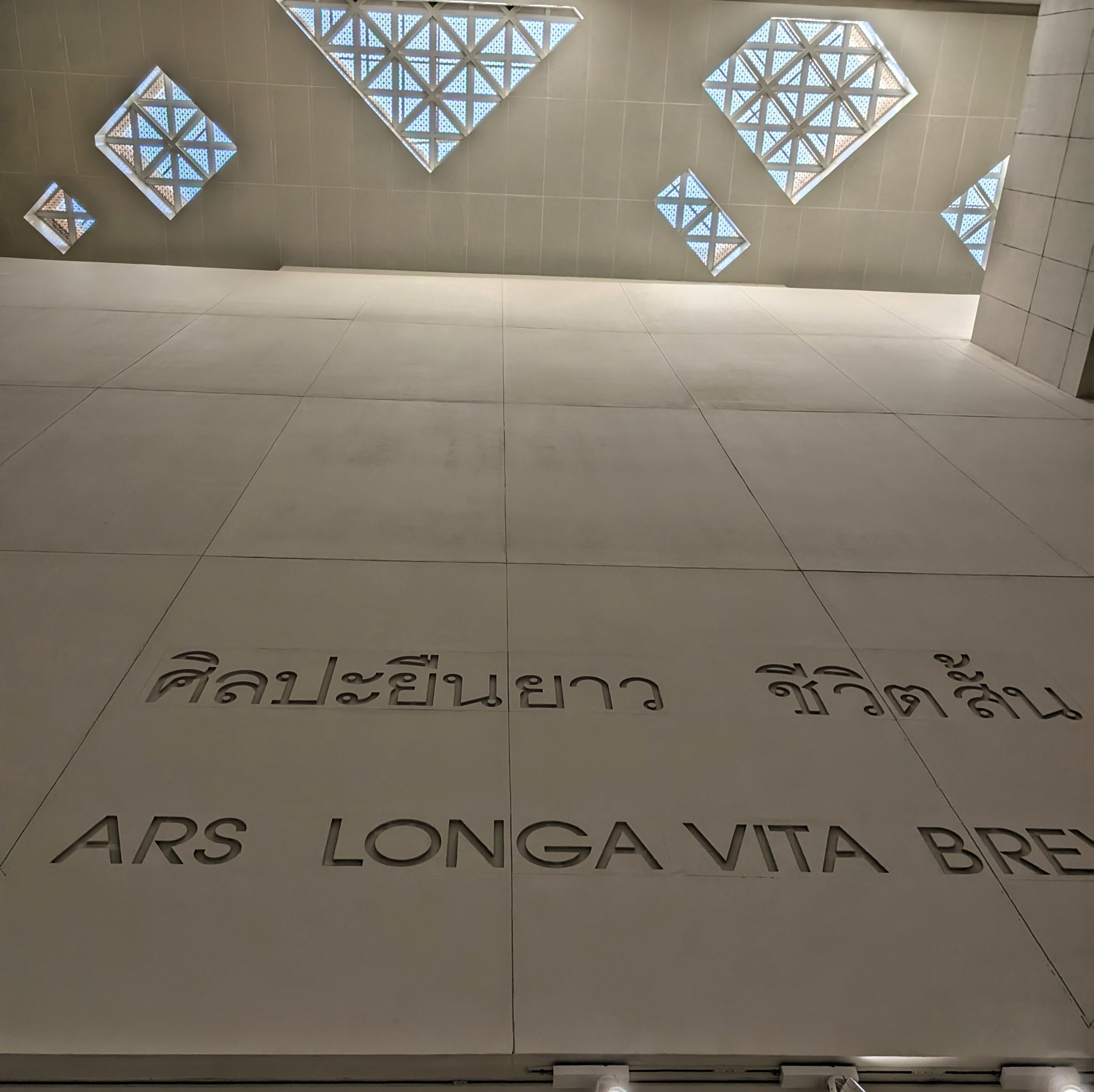 PXL 20250302 072945005