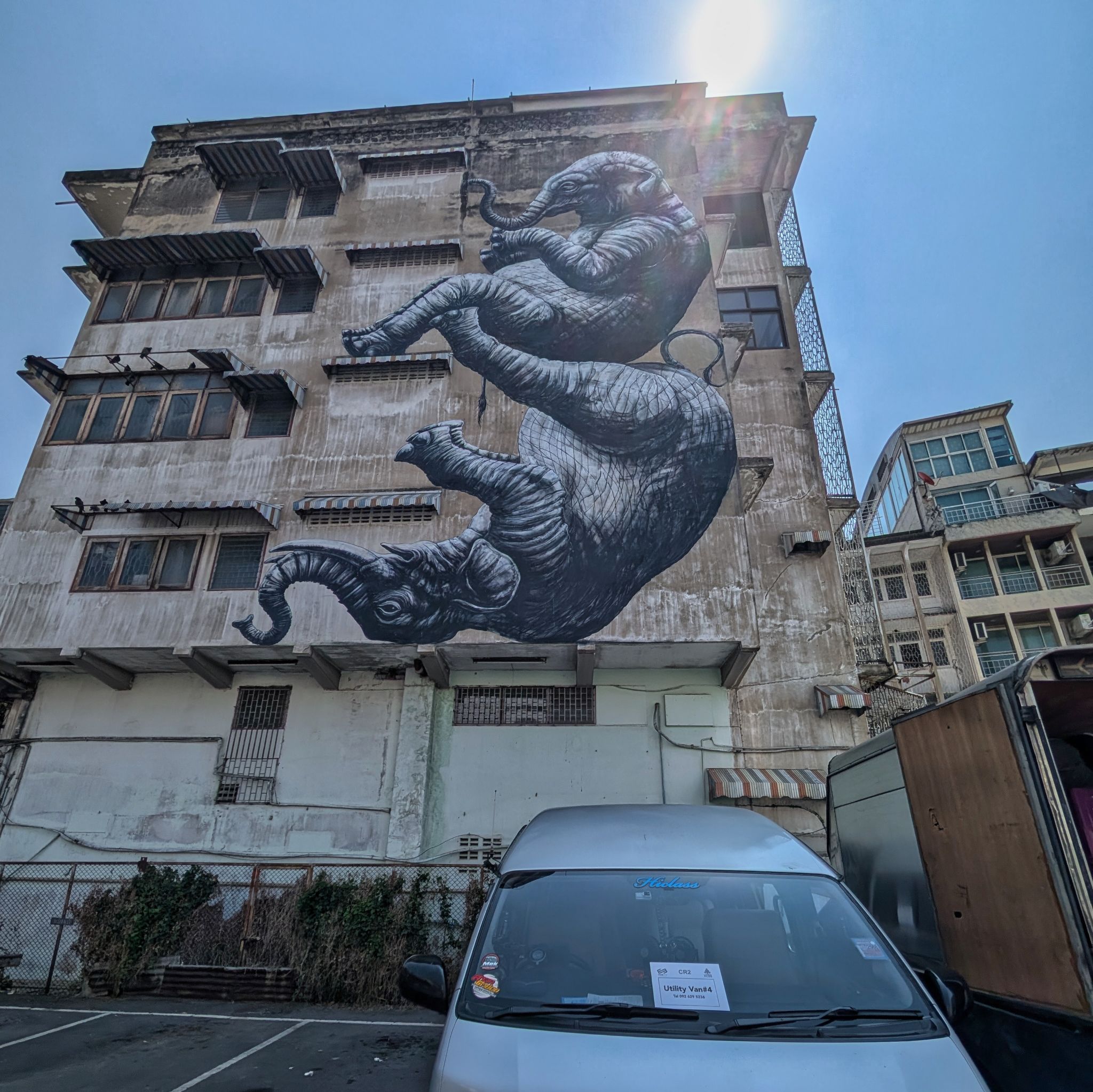 PXL 20250303 043652637