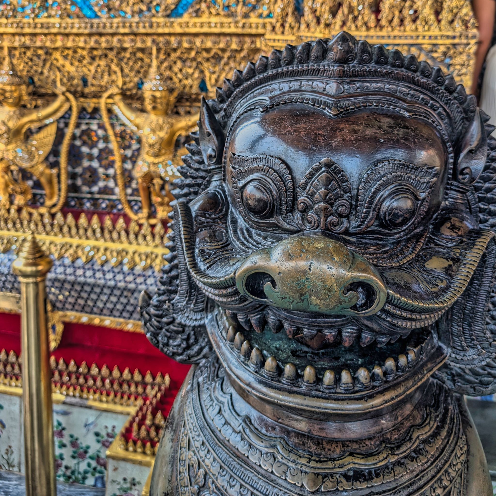 PXL 20250303 071305888