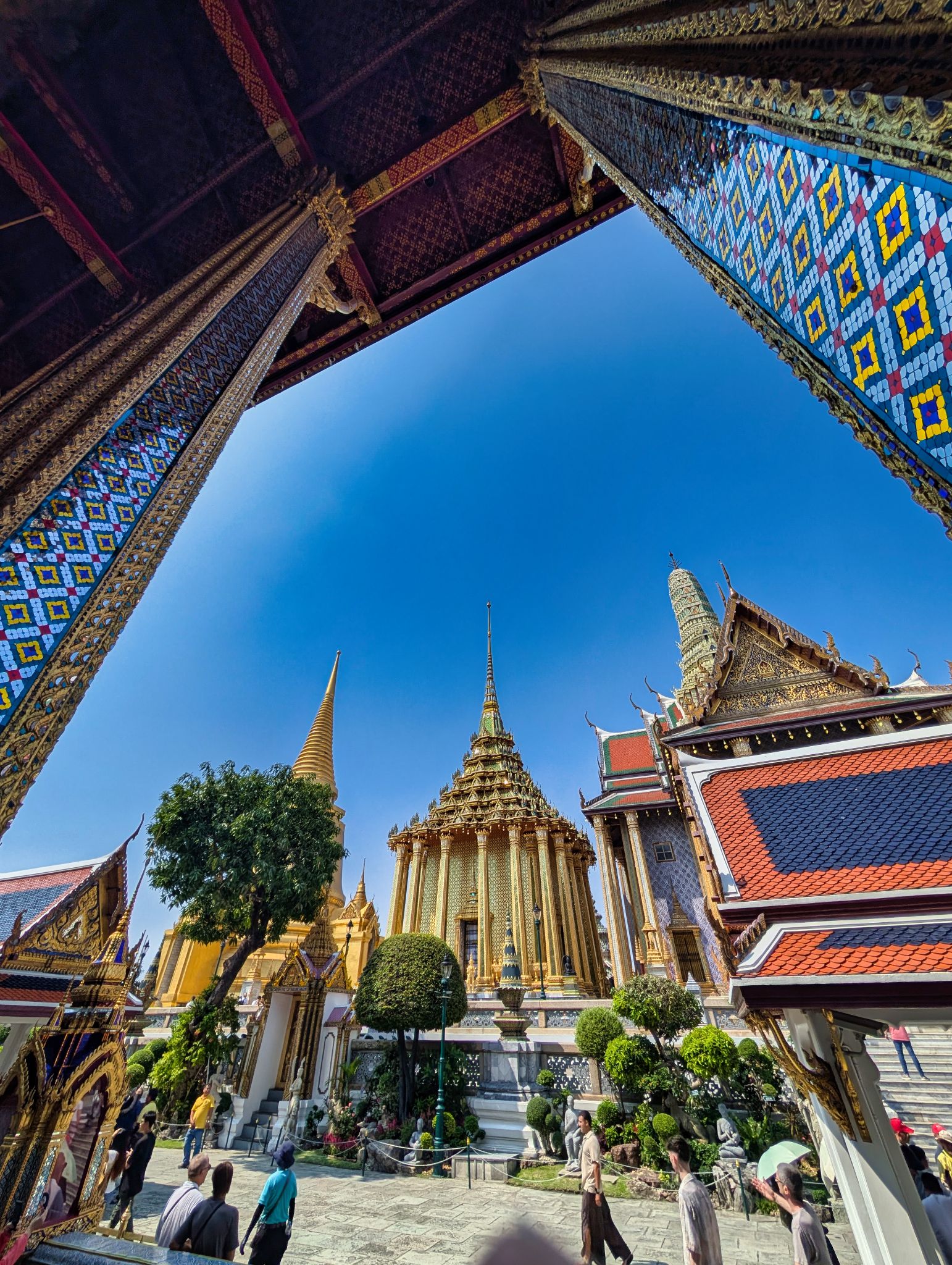 PXL 20250303 072010460