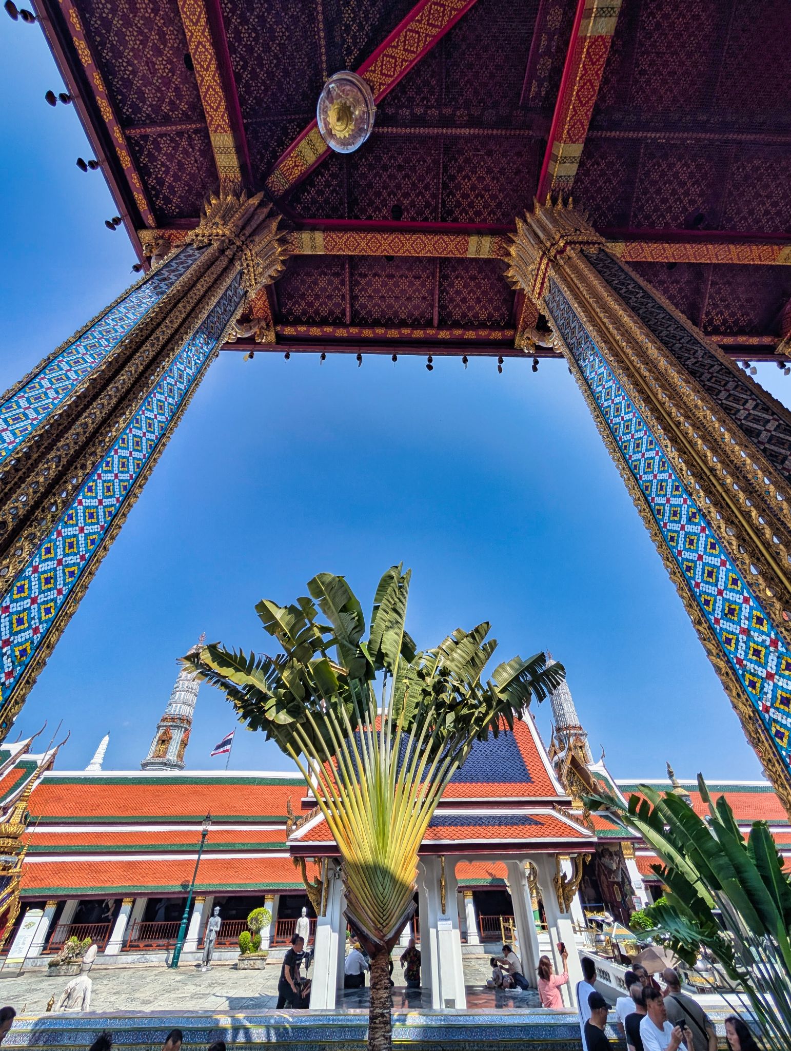 PXL 20250303 072116991