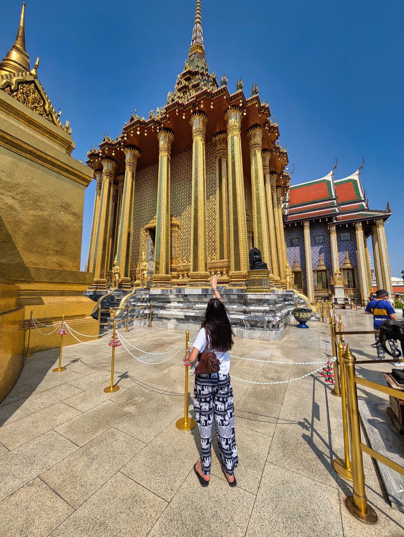 PXL 20250303 072539987