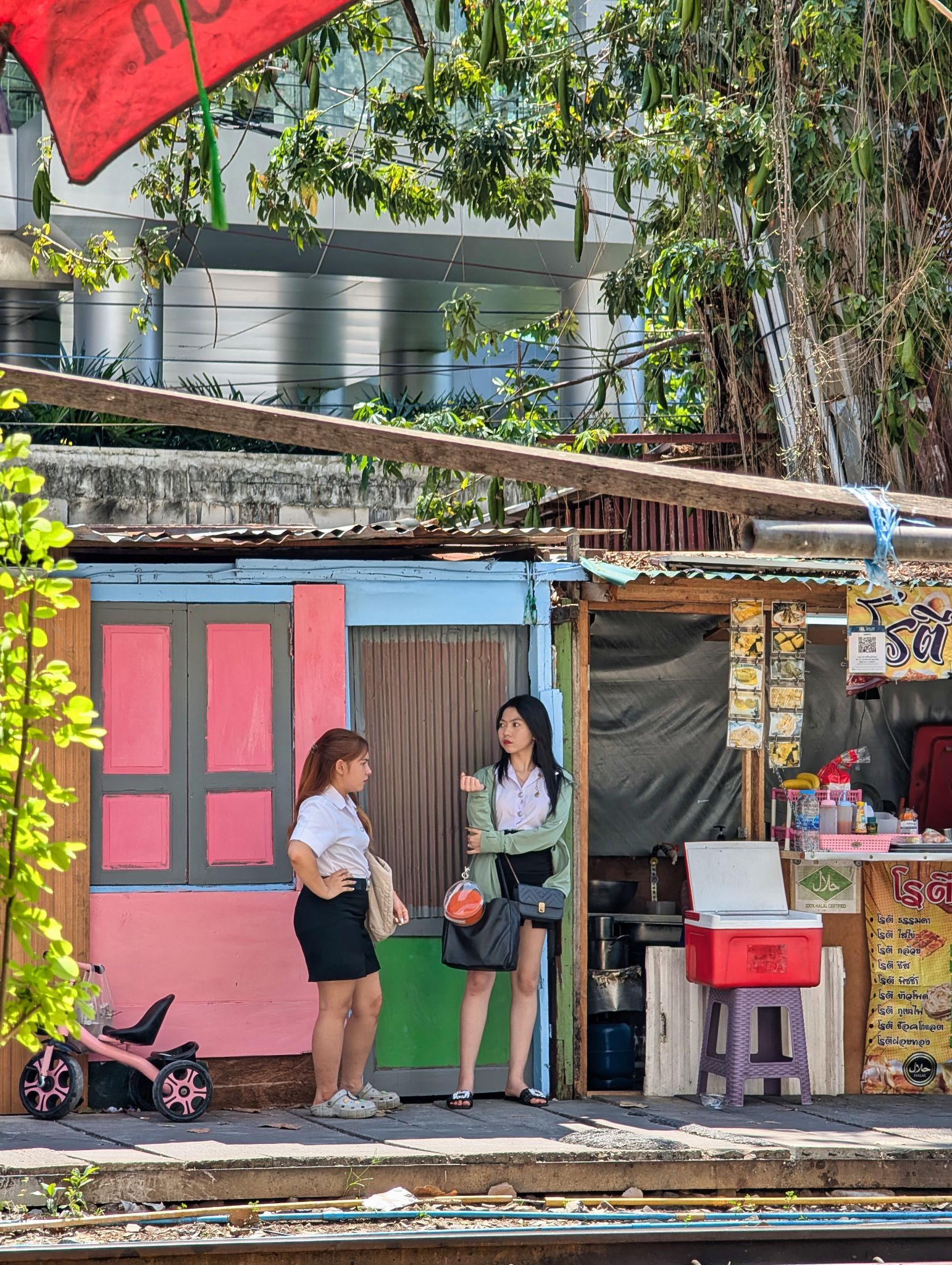 PXL 20250304 061041517