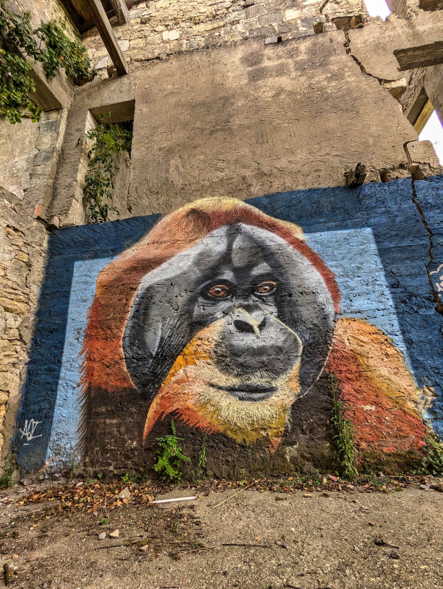 PXL 20240921 122952183