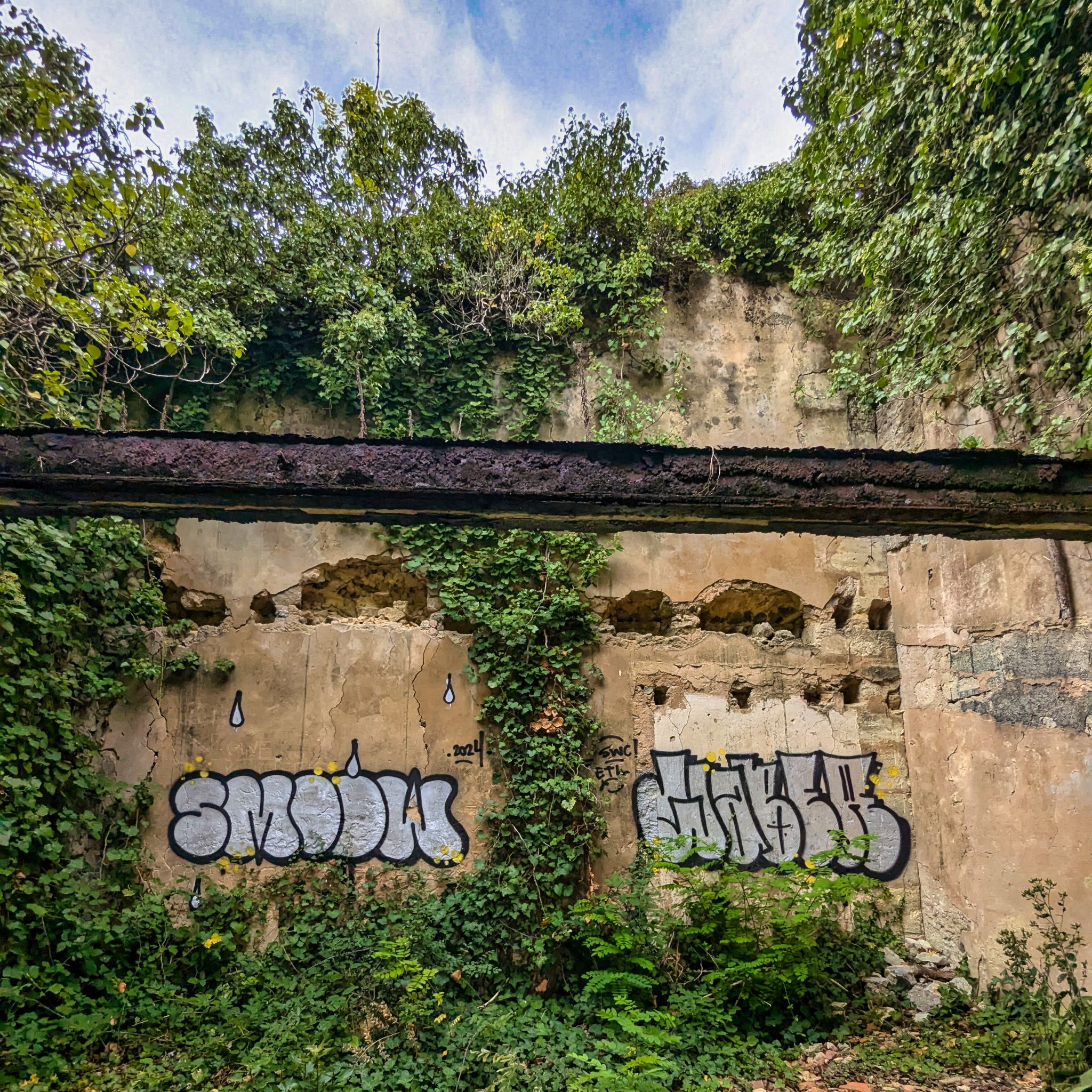 PXL 20240921 123047915