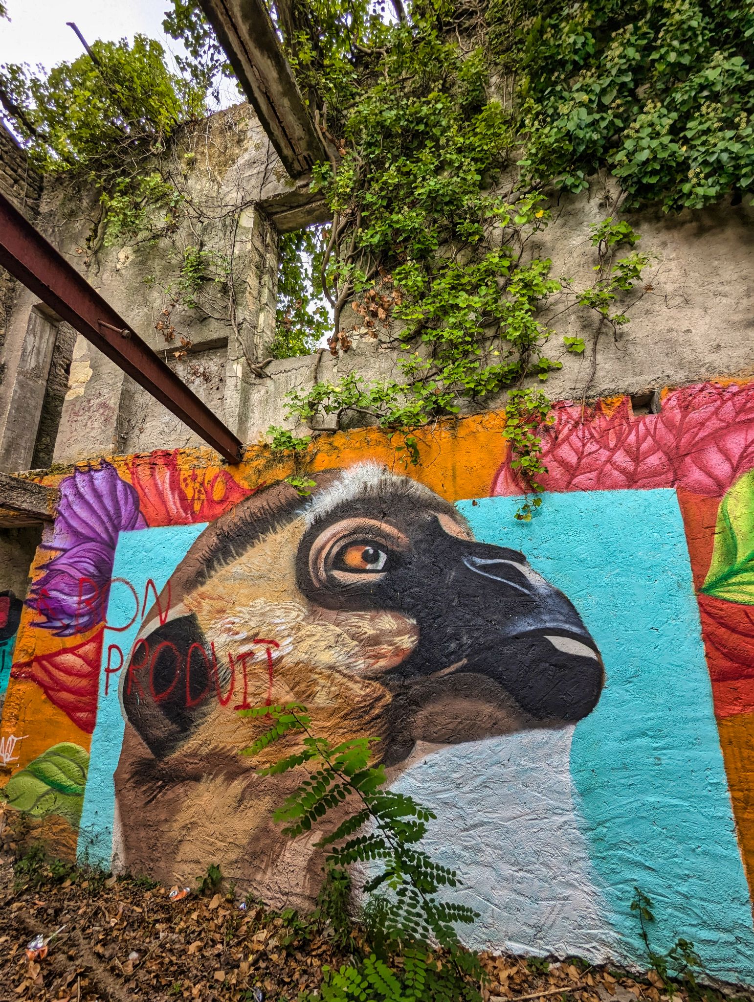 PXL 20240921 123200962