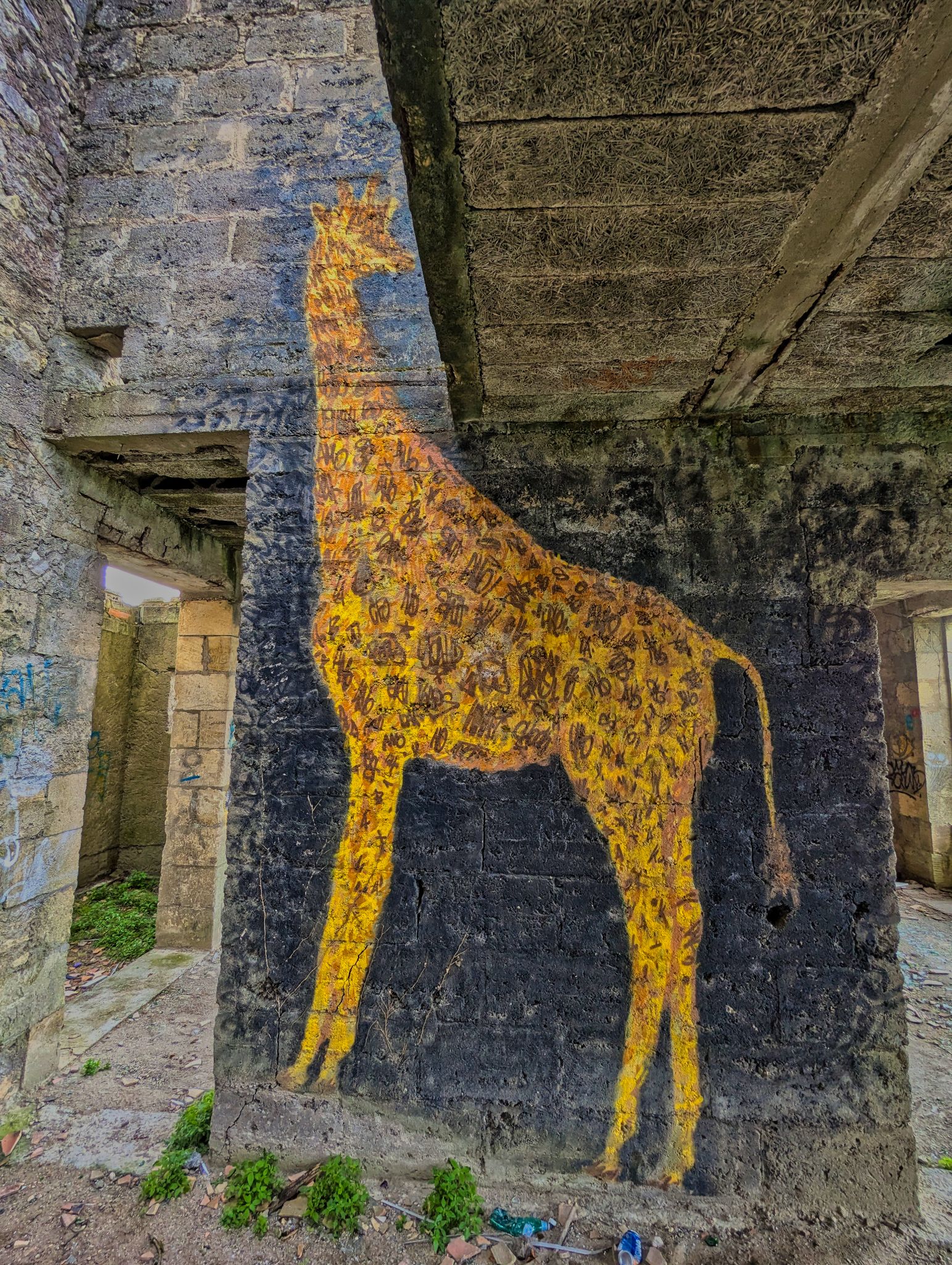 PXL 20240921 123353070