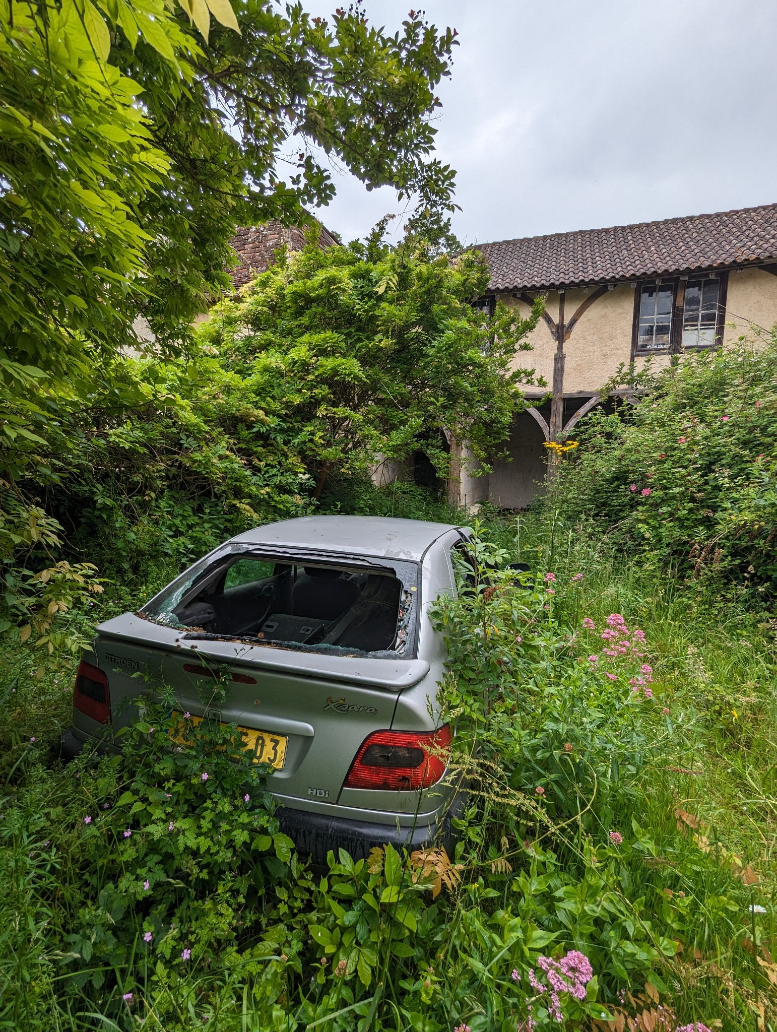 PXL 20240526 103249903