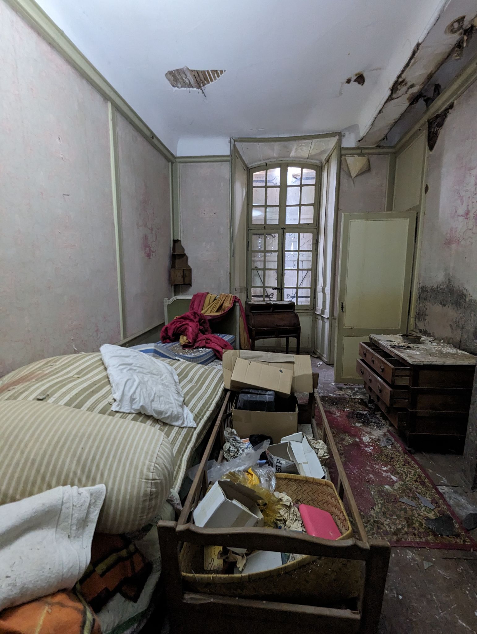 PXL 20240526 104656282