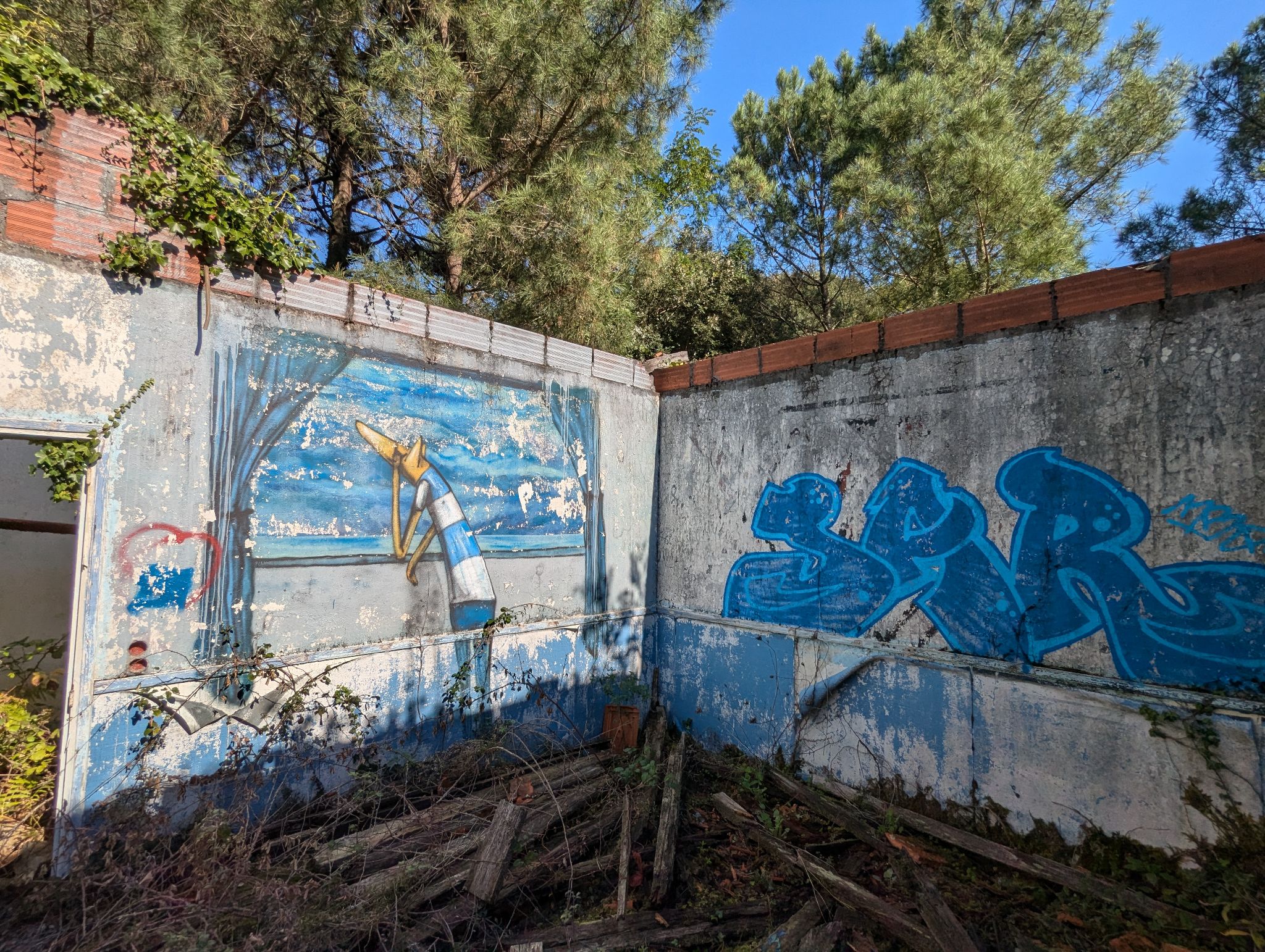 PXL 20241013 120006872