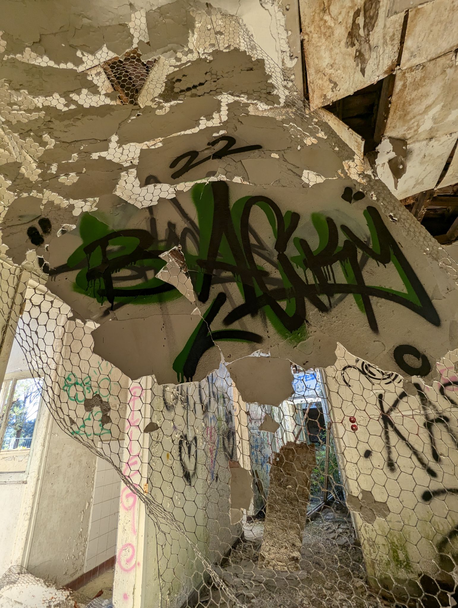 PXL 20241013 121216120