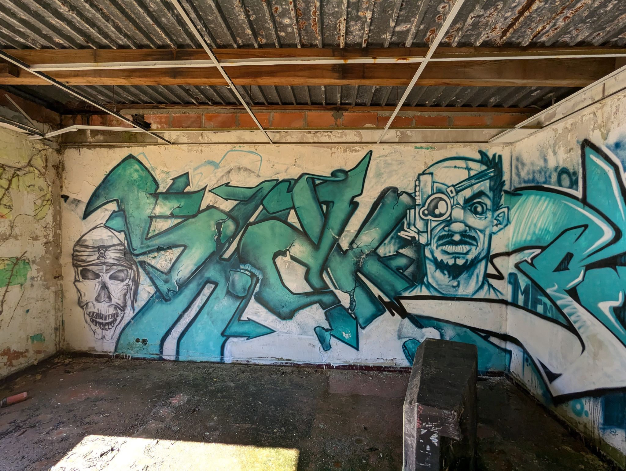 PXL 20241013 121315335