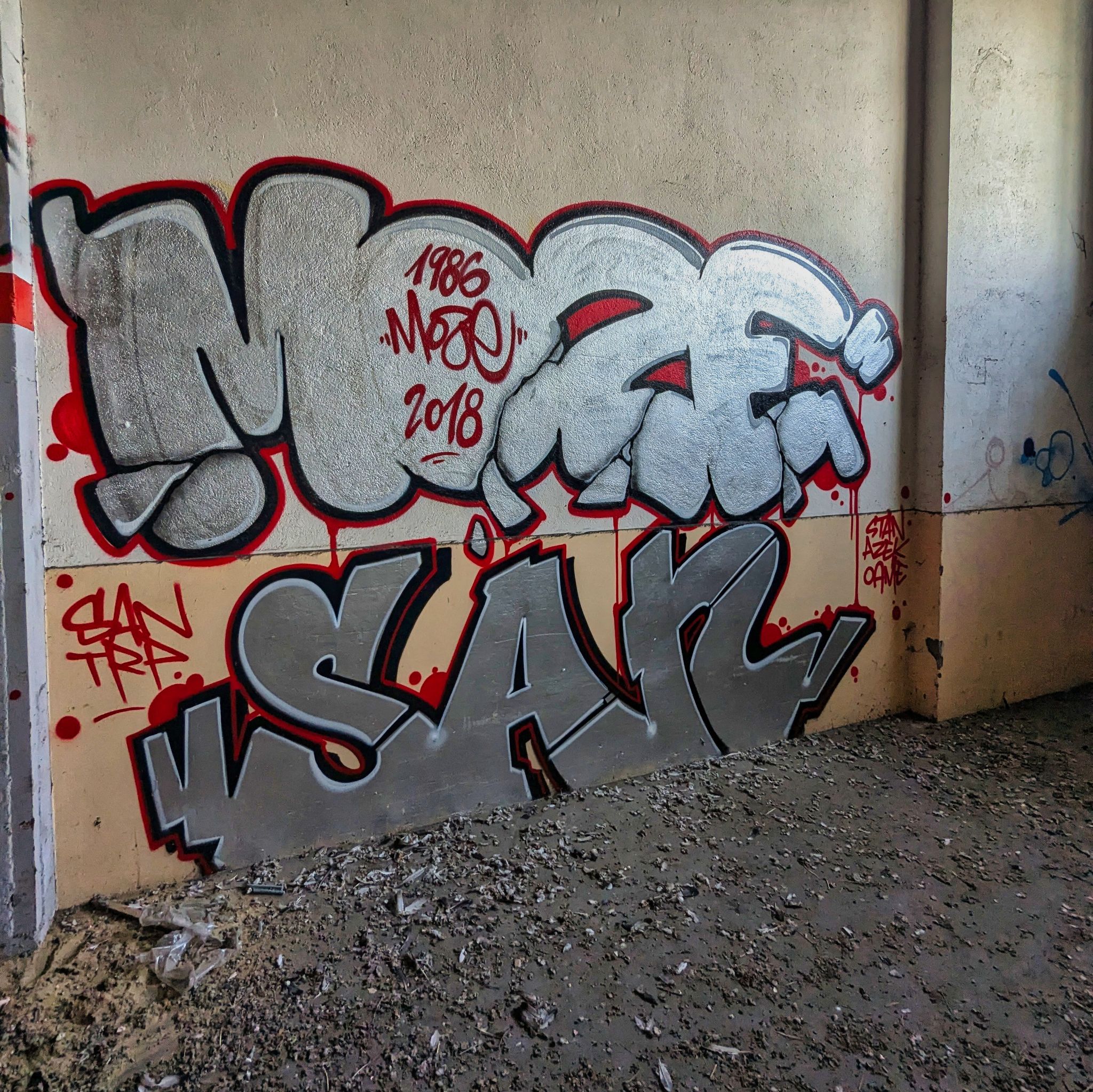 PXL 20241020 084050920