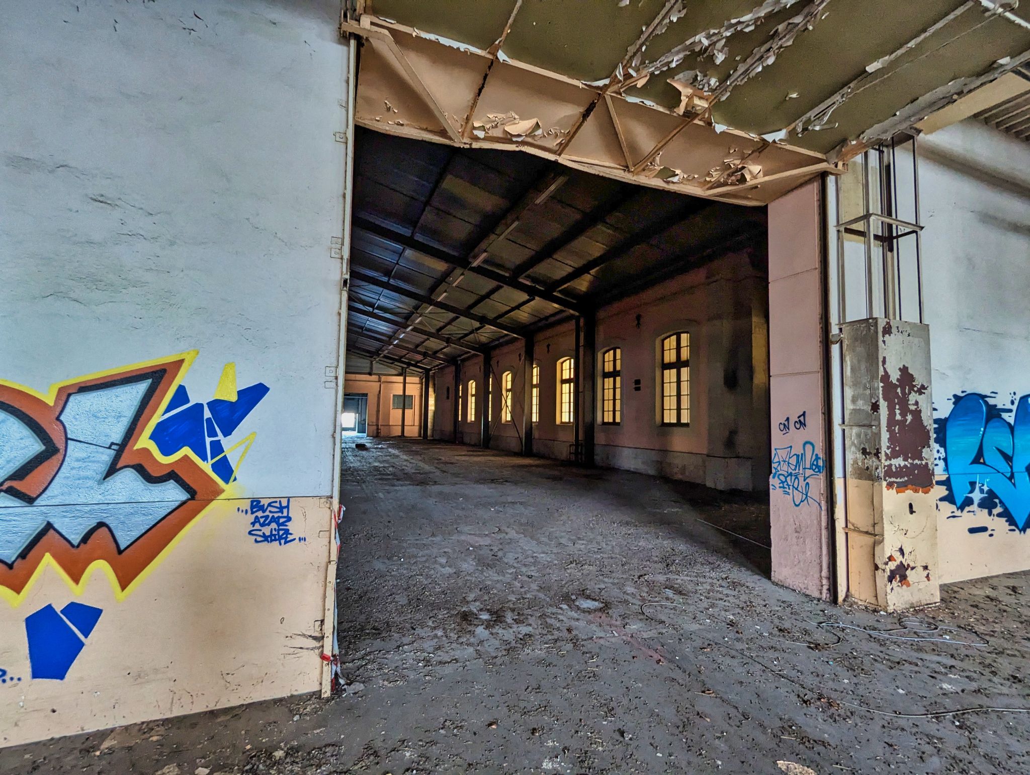 PXL 20241020 084115528