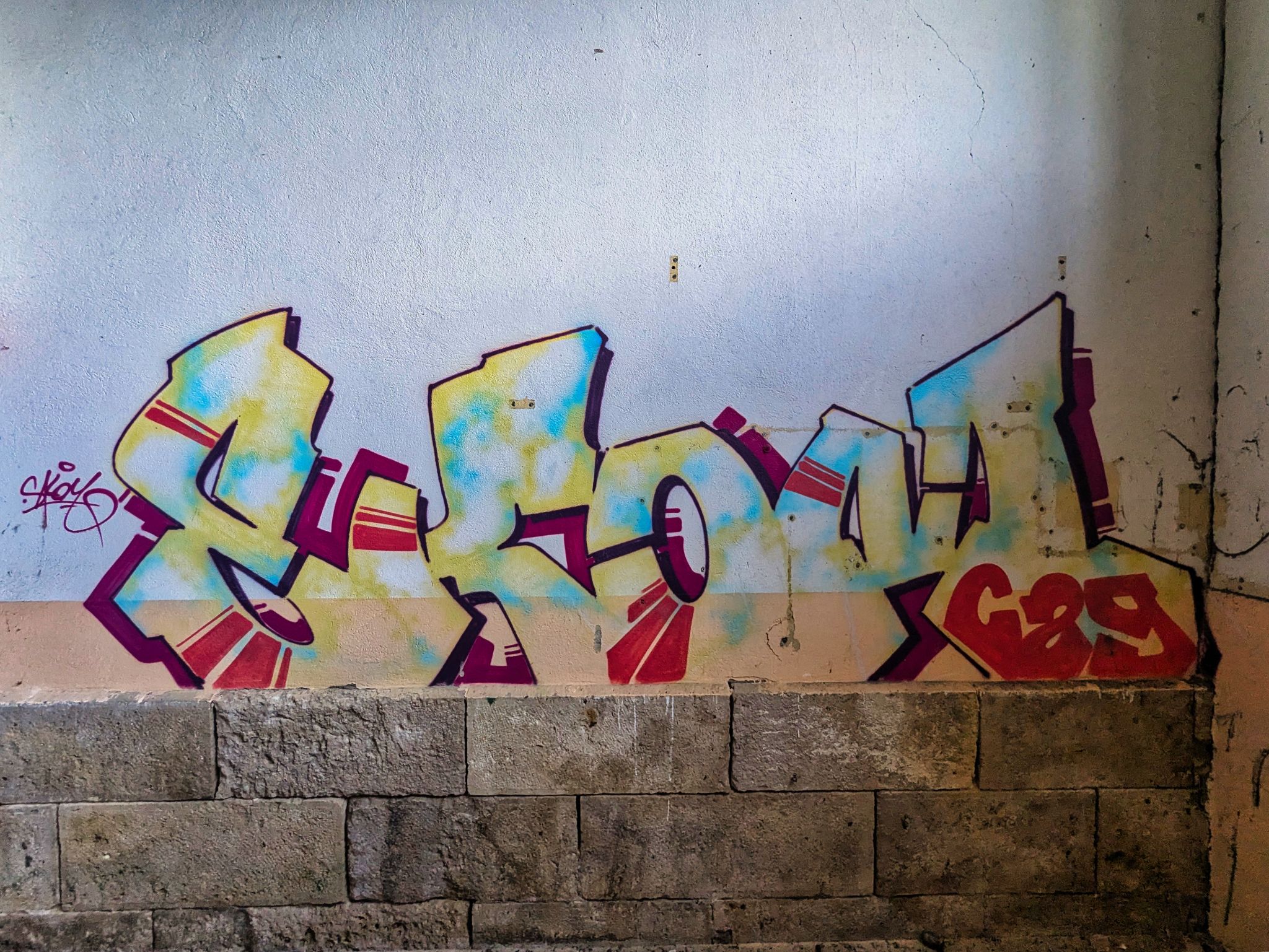 PXL 20241020 084211234