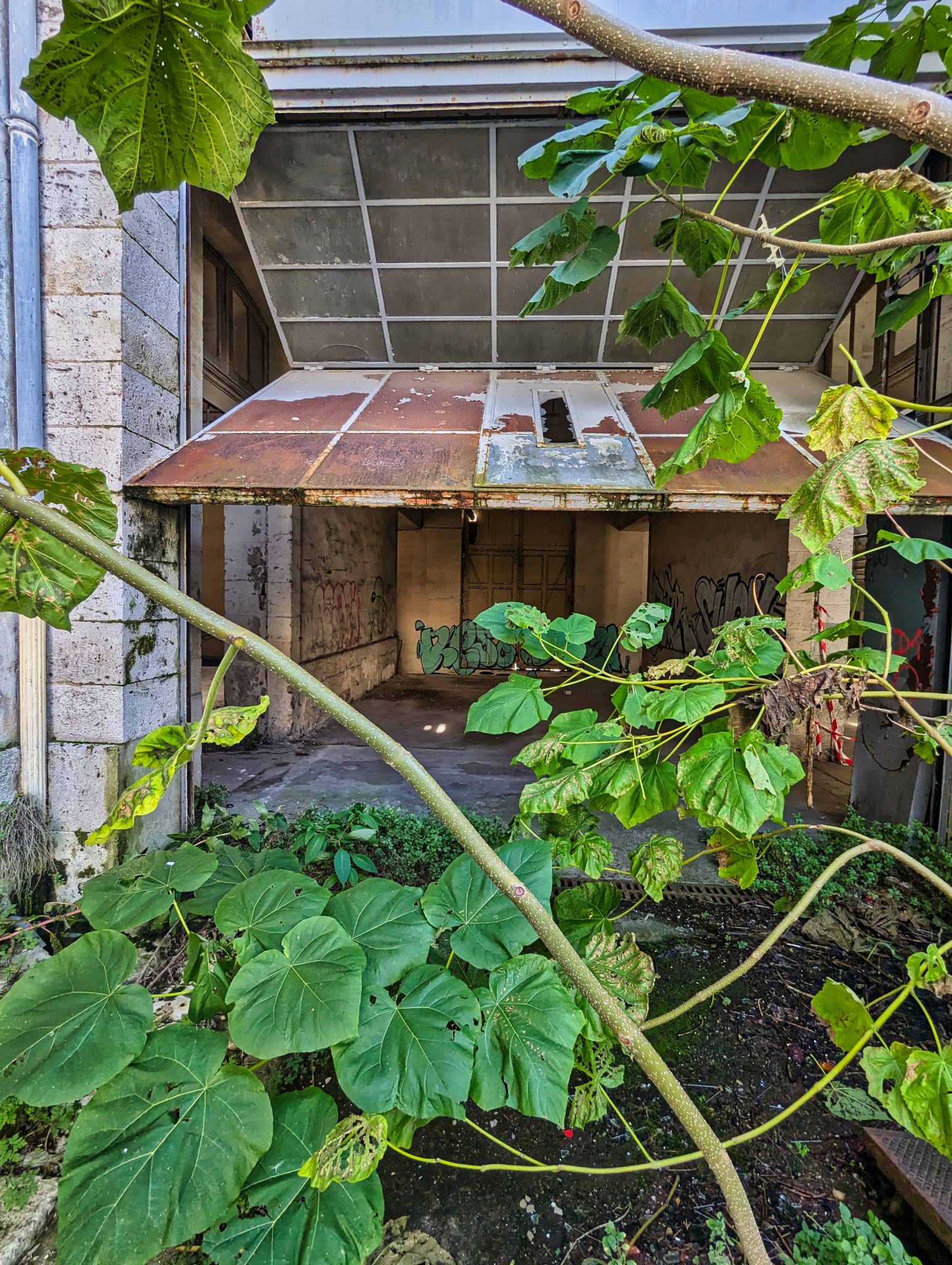 PXL 20241020 085846441