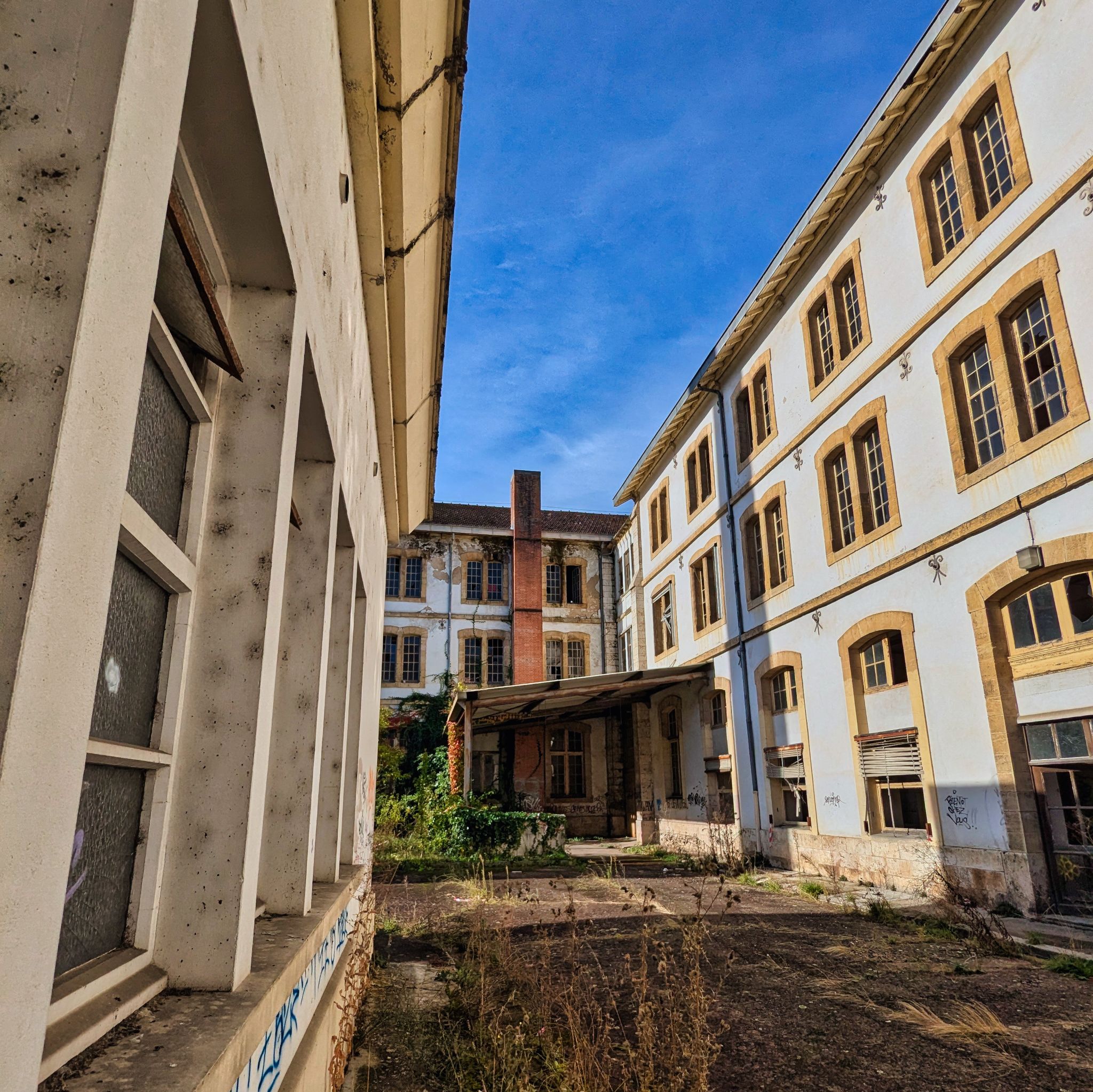 PXL 20241020 090600548