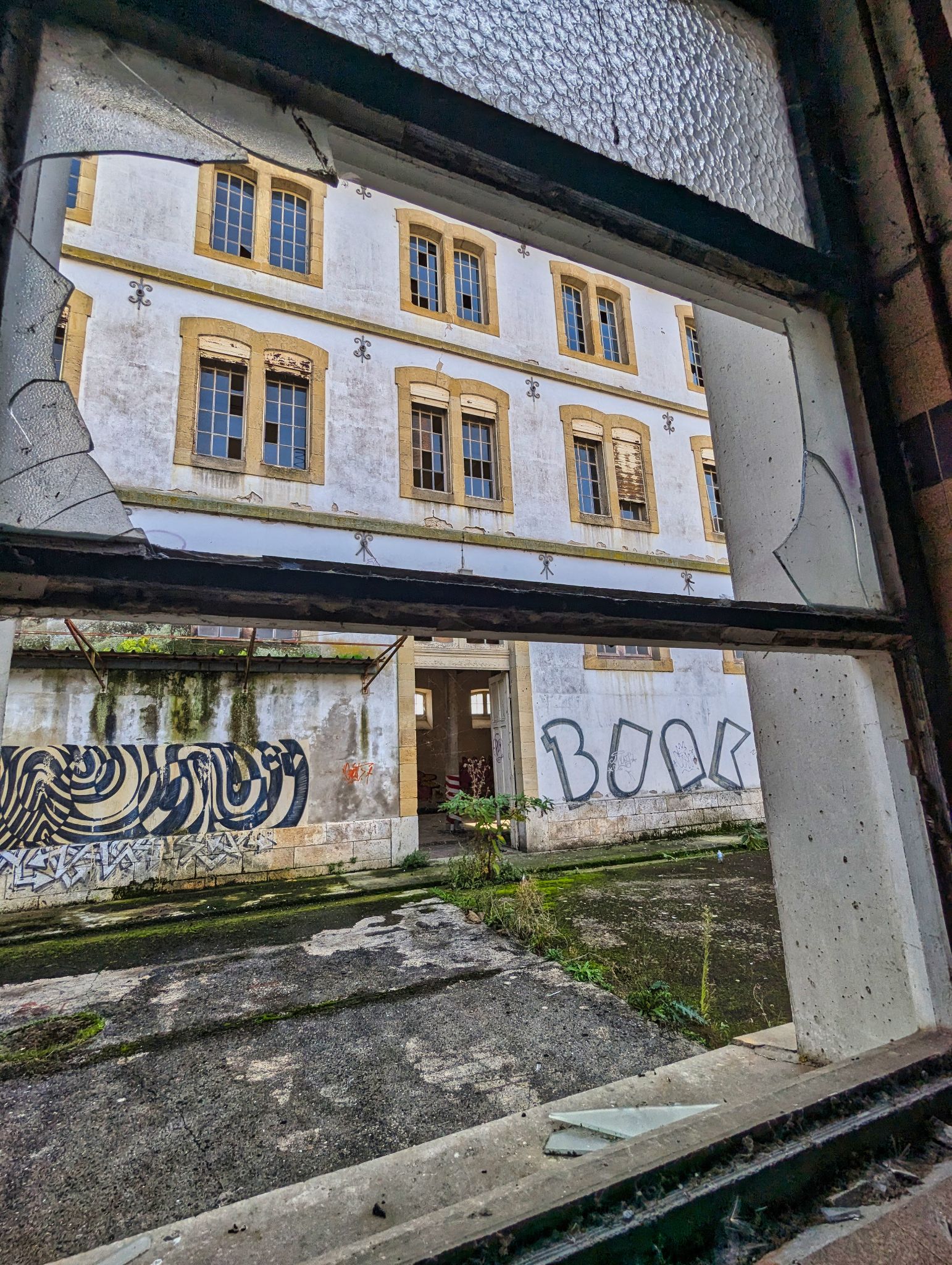 PXL 20241020 090954428