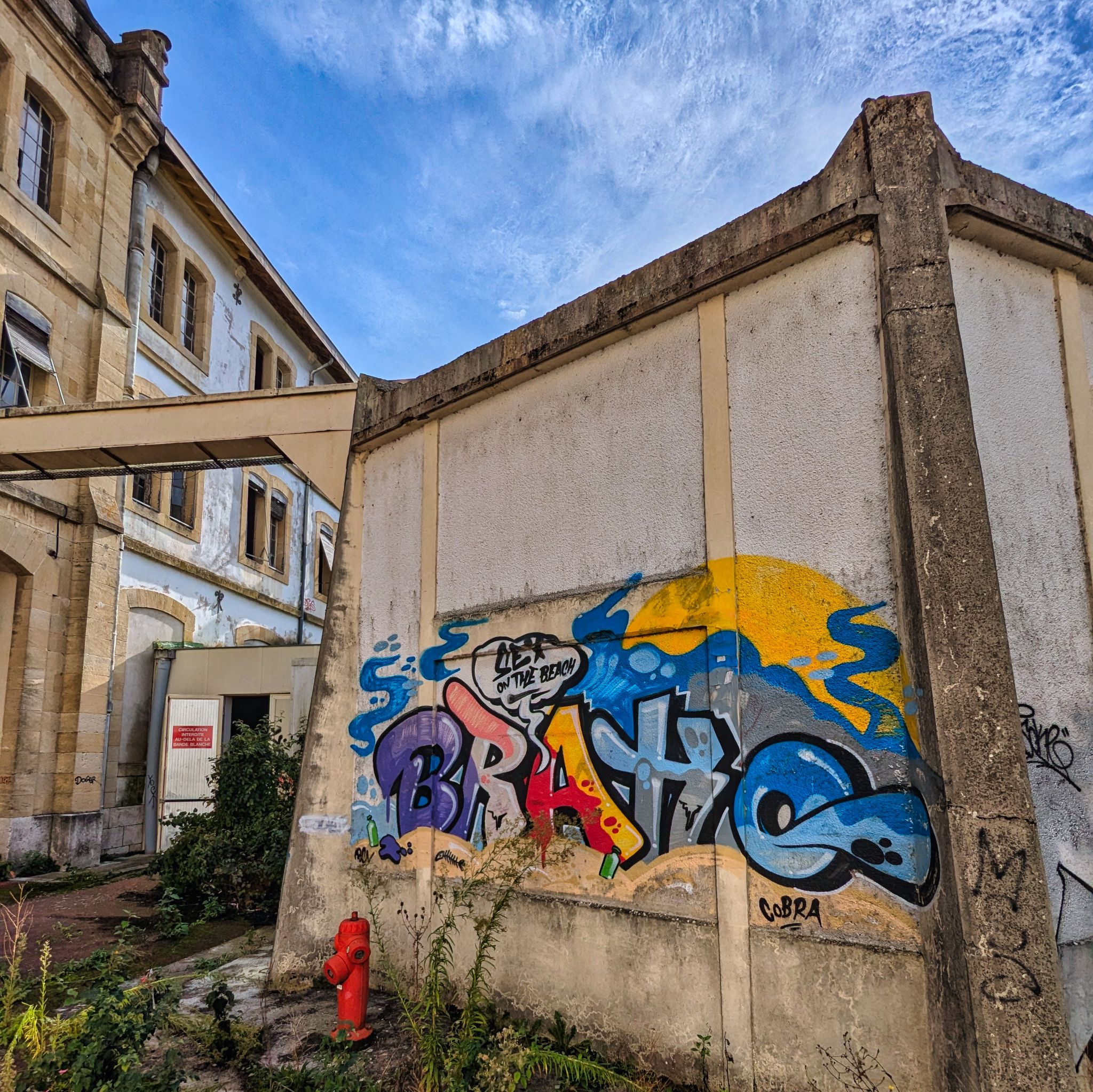 PXL 20241020 092216231