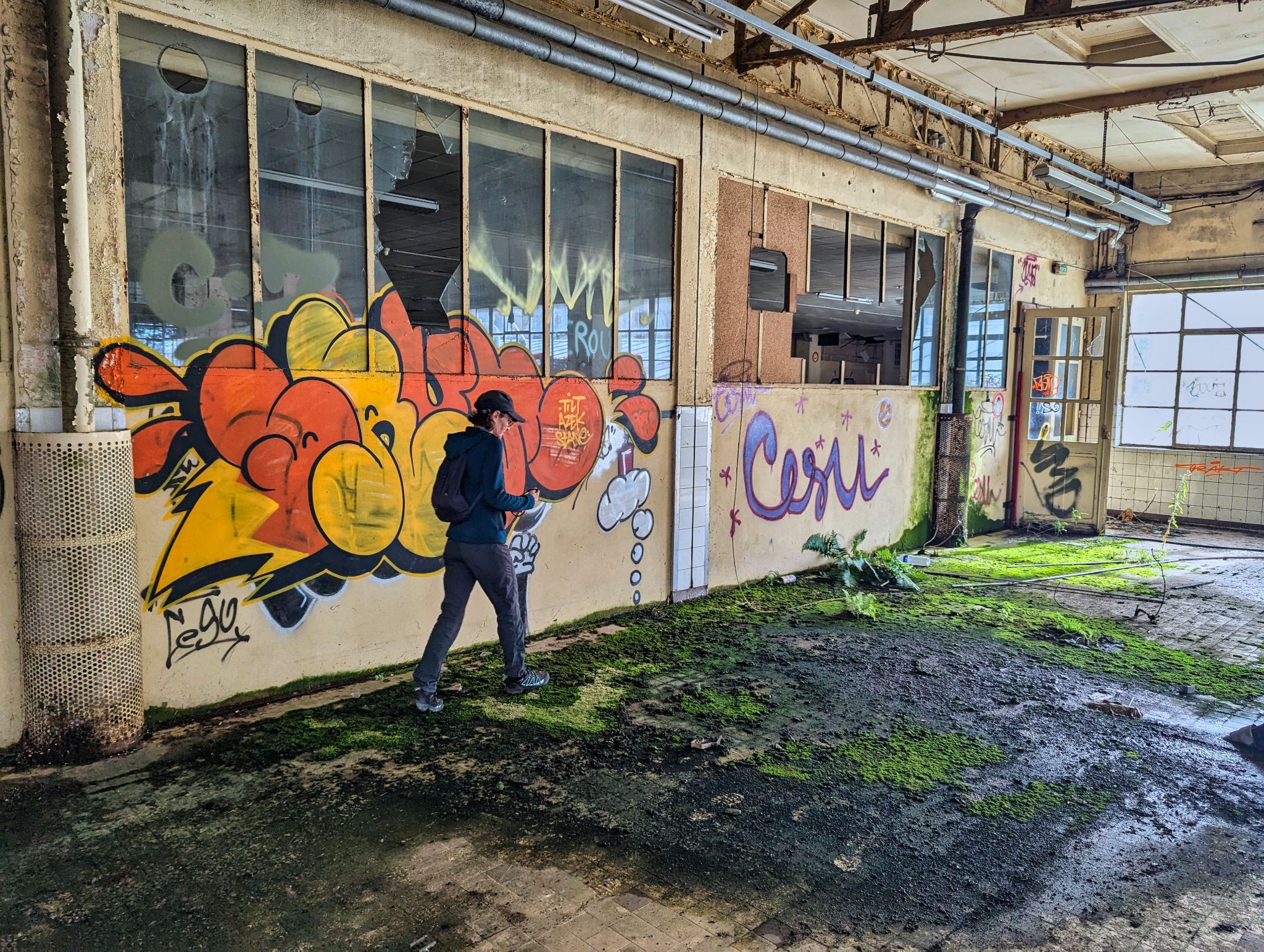 PXL 20241020 094553987.MP