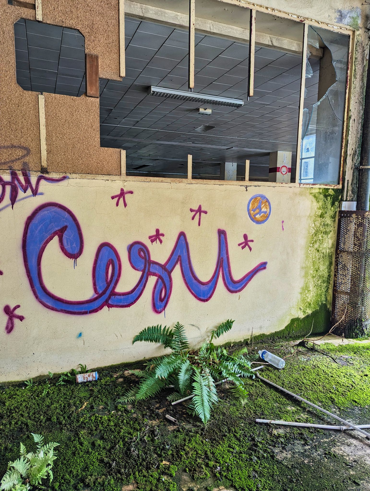 PXL 20241020 094613590