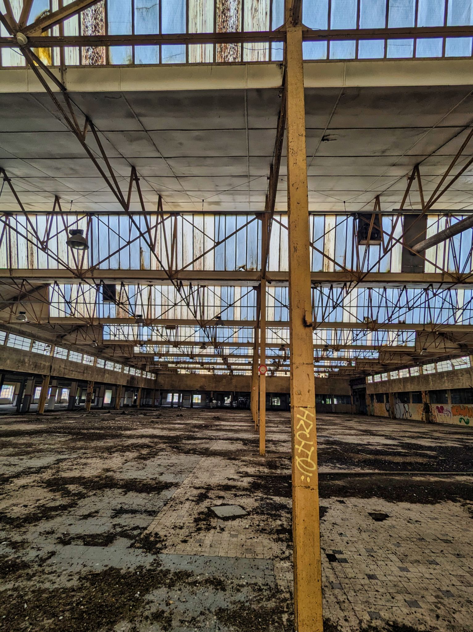 PXL 20241020 094652073