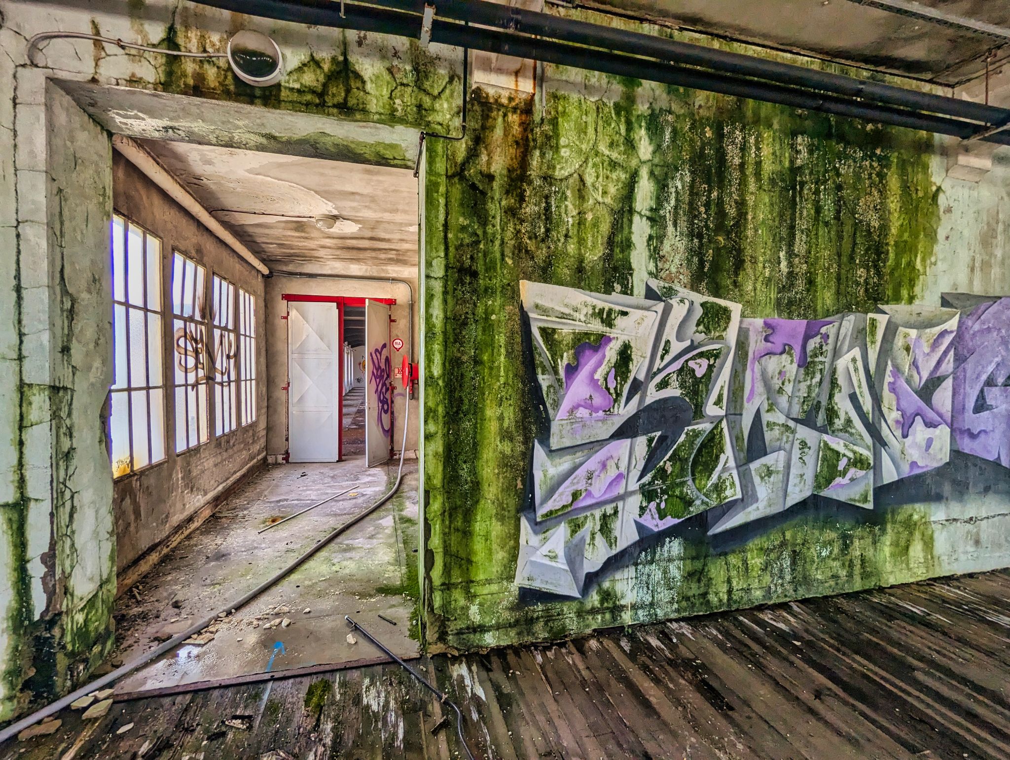 PXL 20241020 104008317